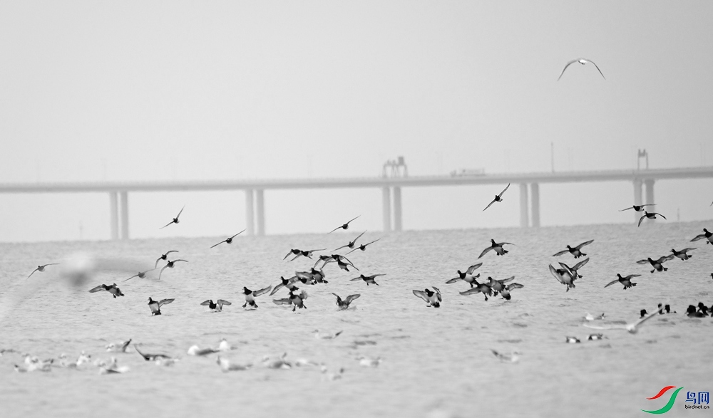 DSCF8934.1.jpg