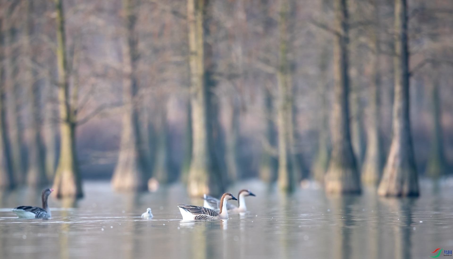 DSC_4906-1.jpg