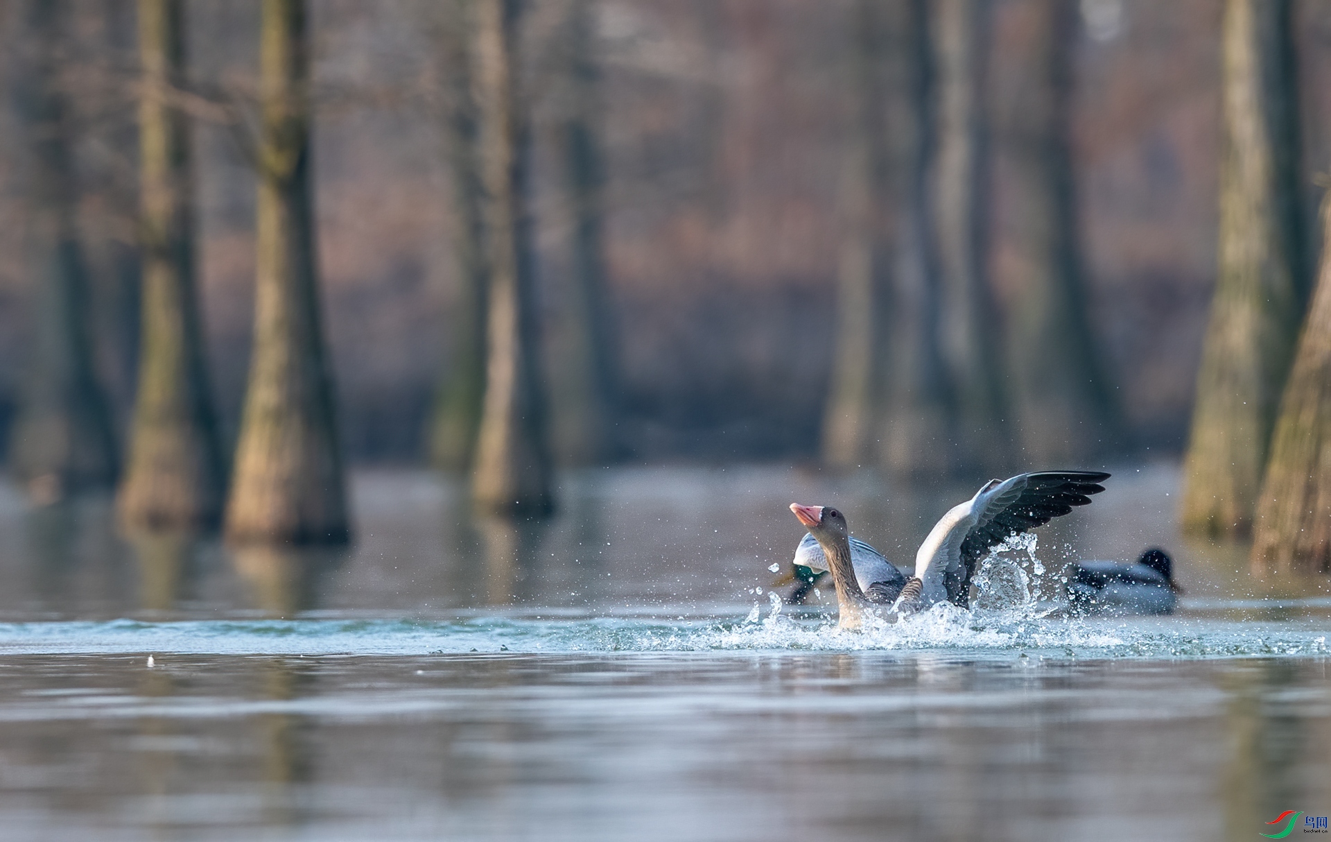 DSC_5052-1.jpg