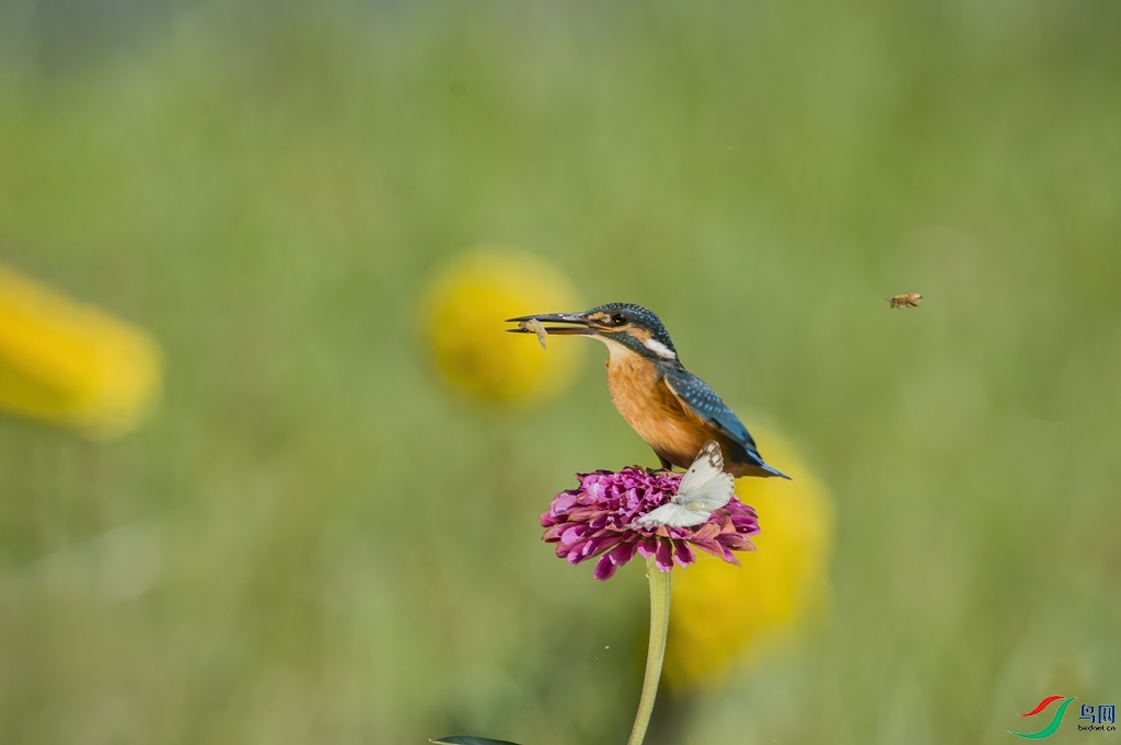 psc (12) ����_����.jpg