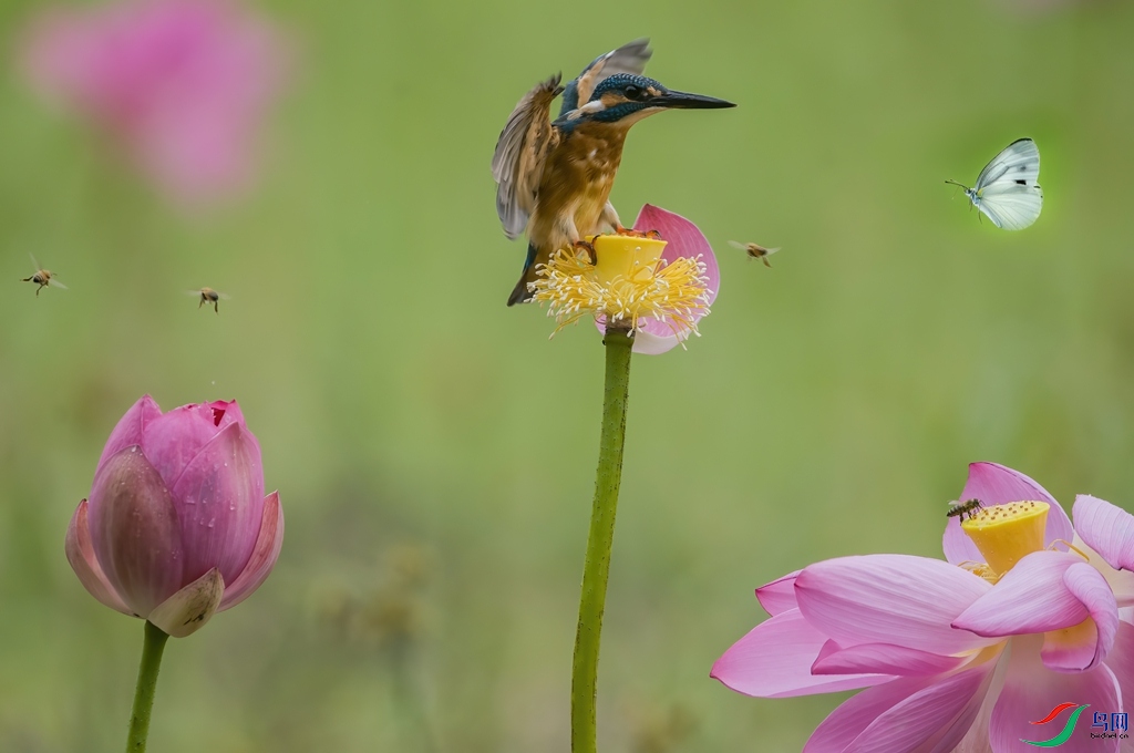 psc00 ����_����.jpg