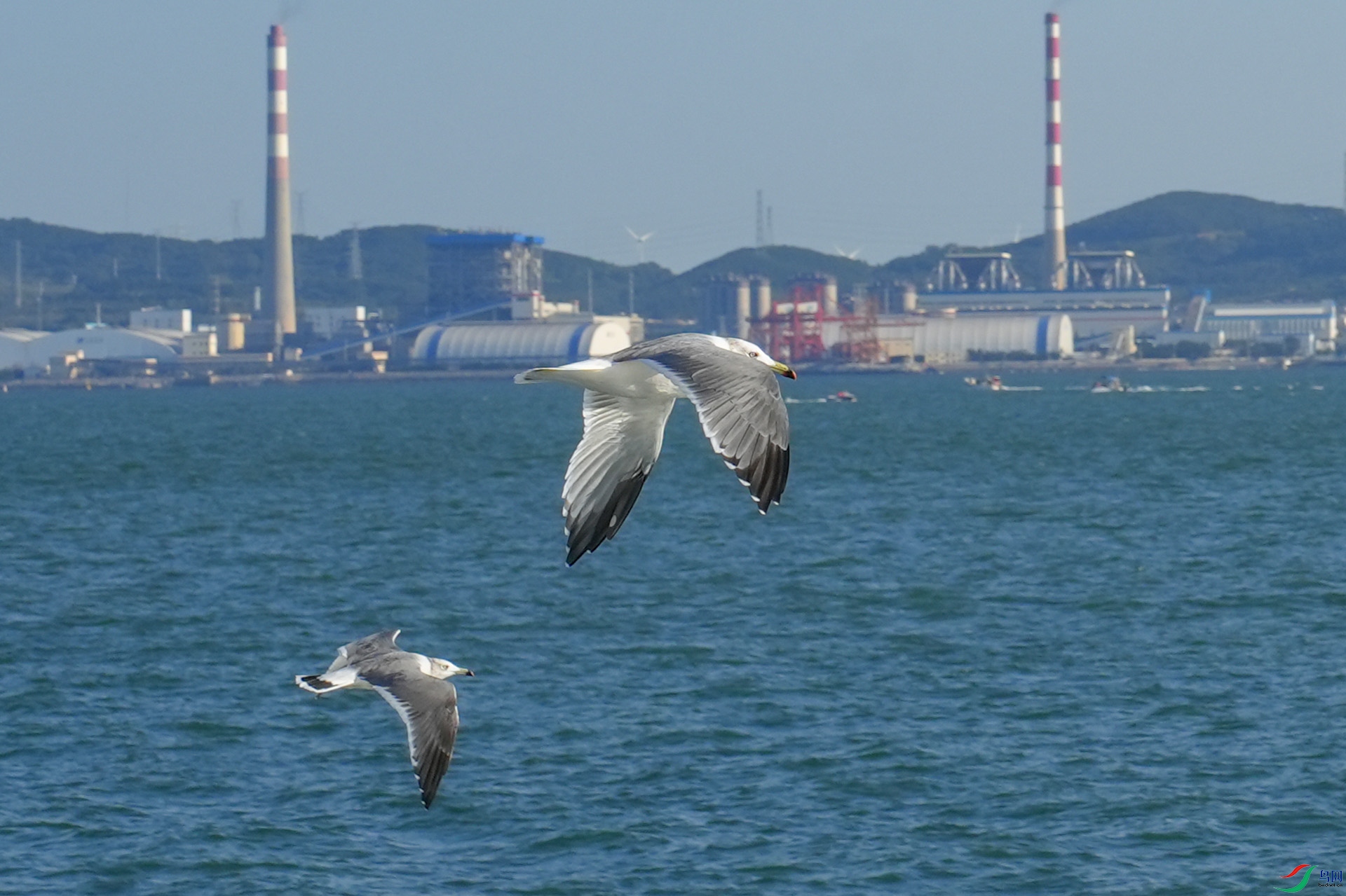 ��βŸ���ɰ���