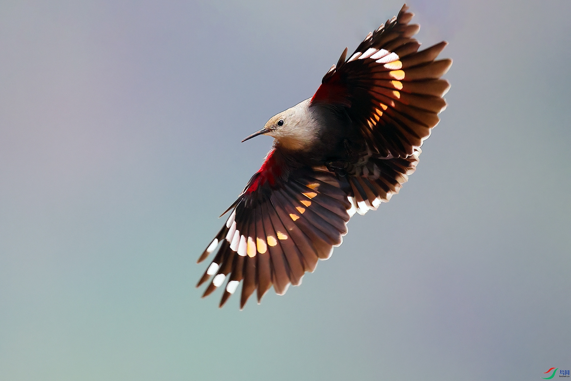 �������ȸ589 (1)-1.jpg