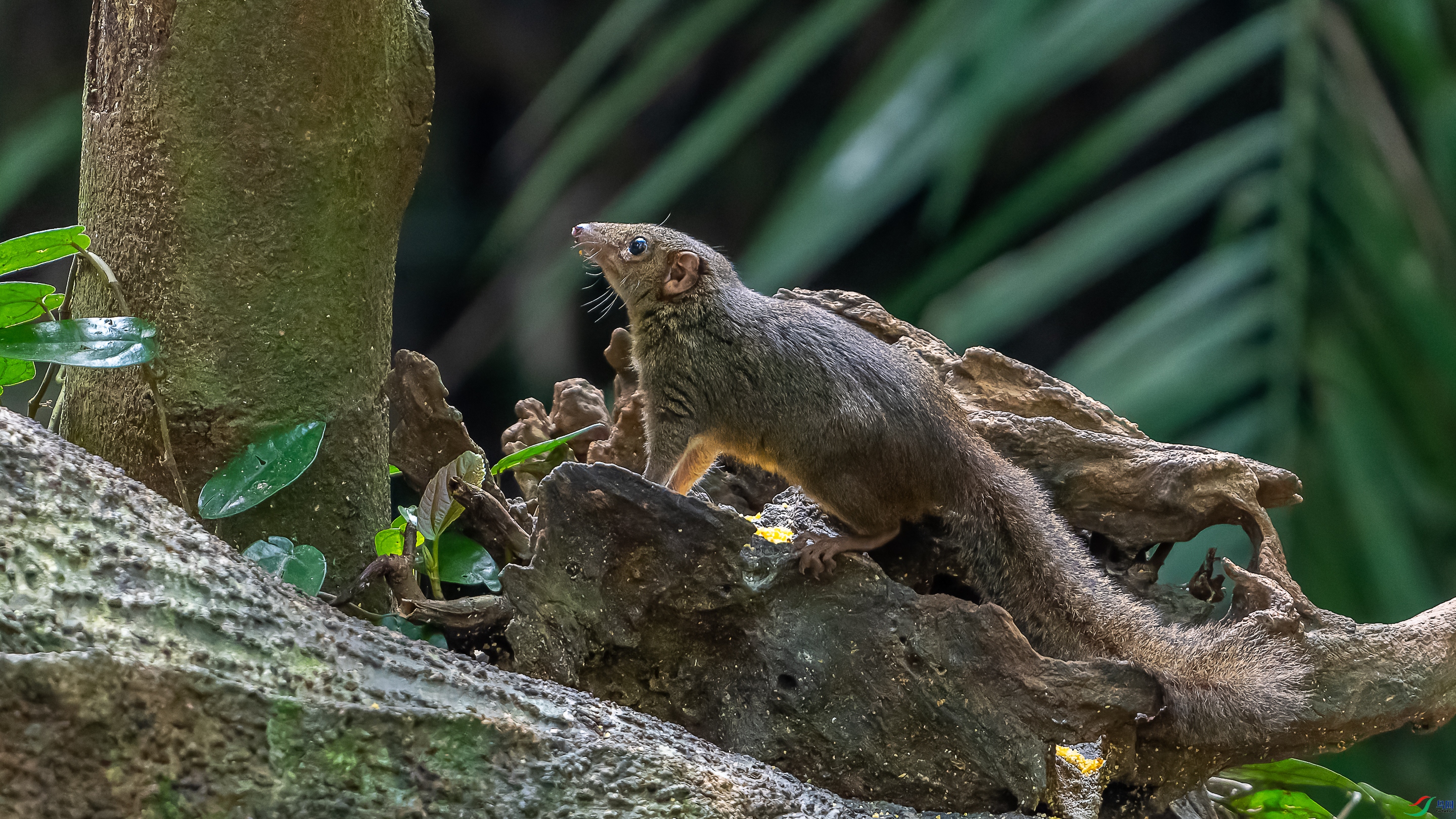 DSC06781-1.jpg