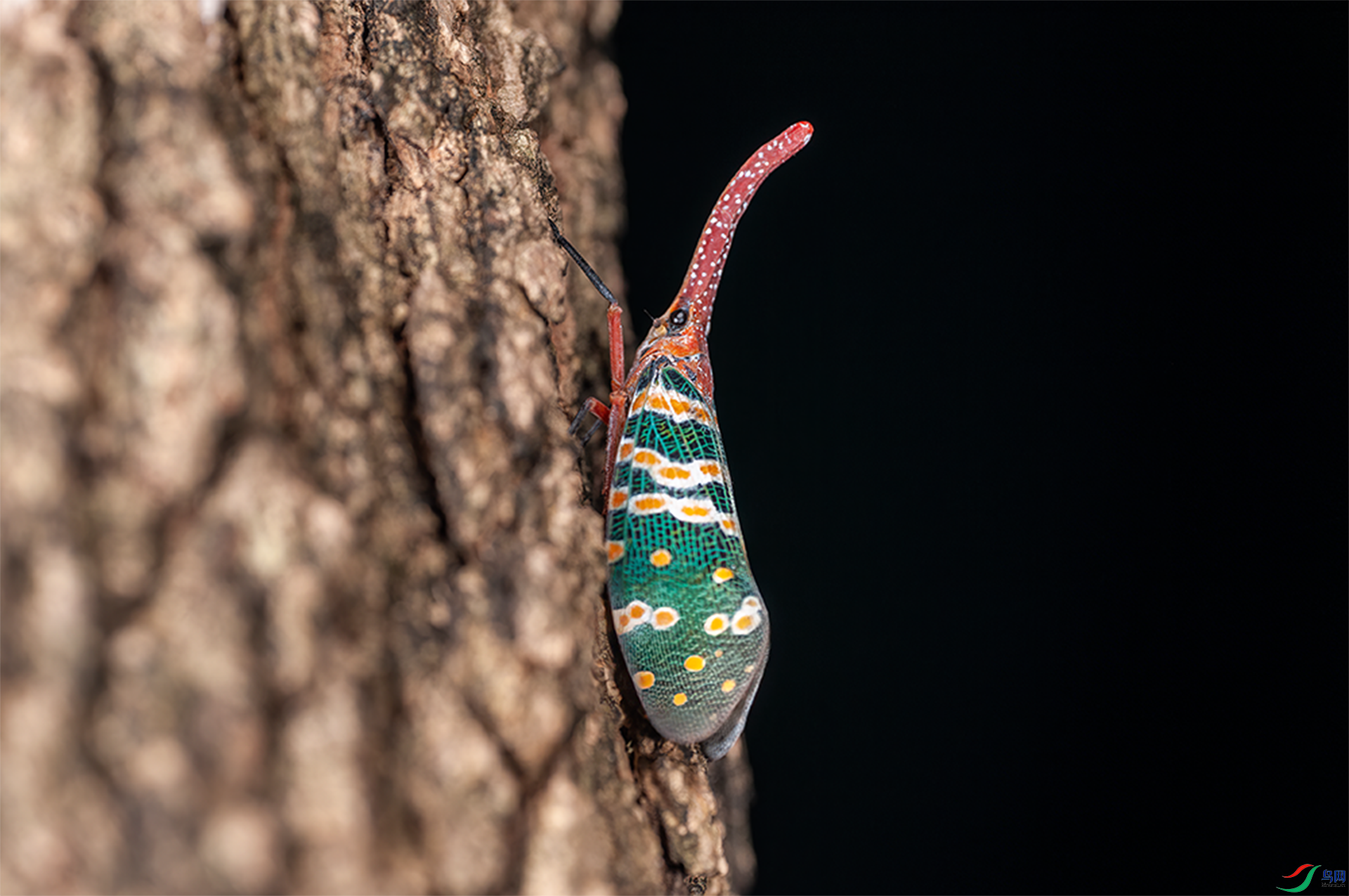 DSC_2249.png    0002.png