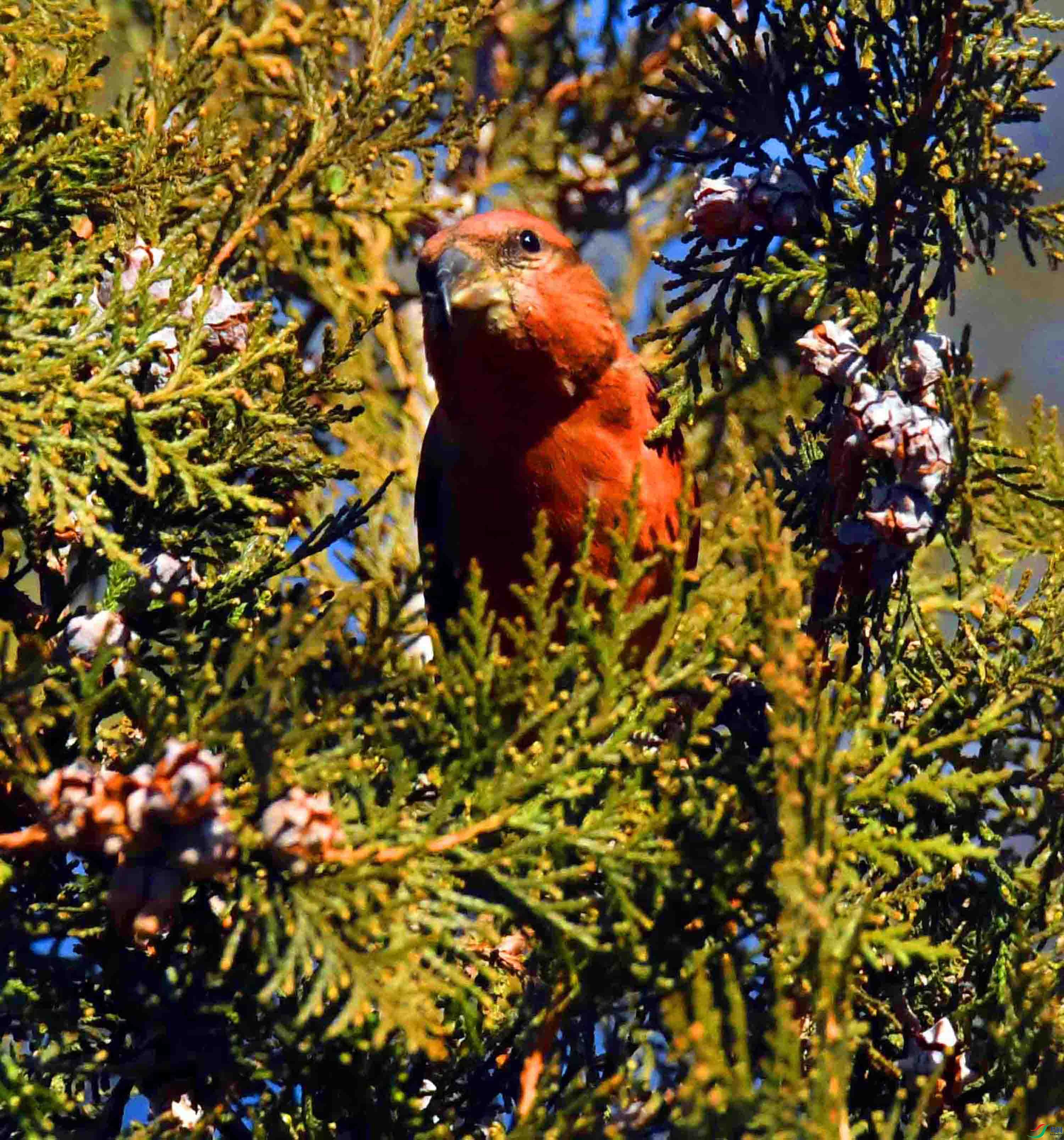 DSC_5431.JPG