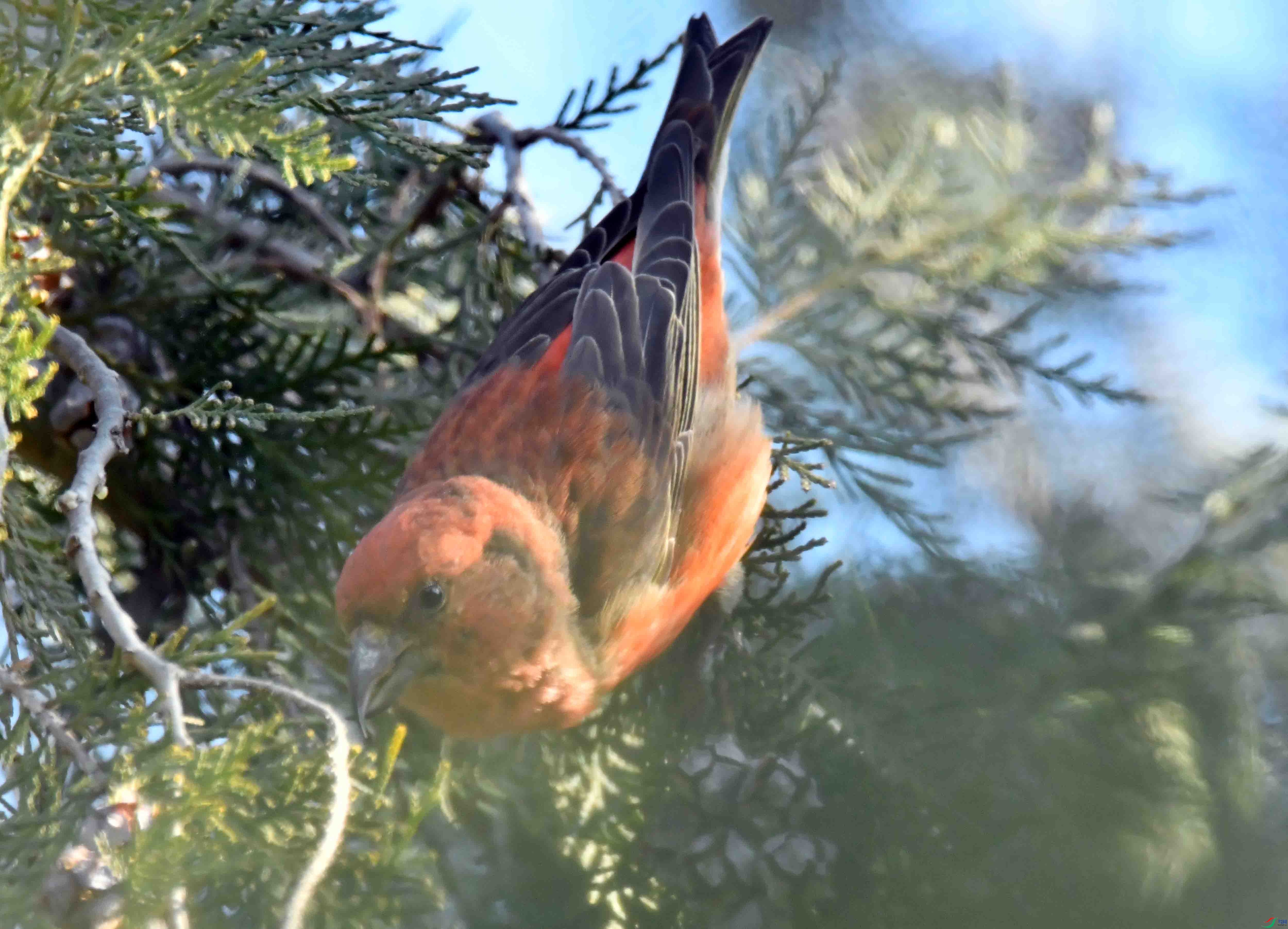 DSC_6844.JPG