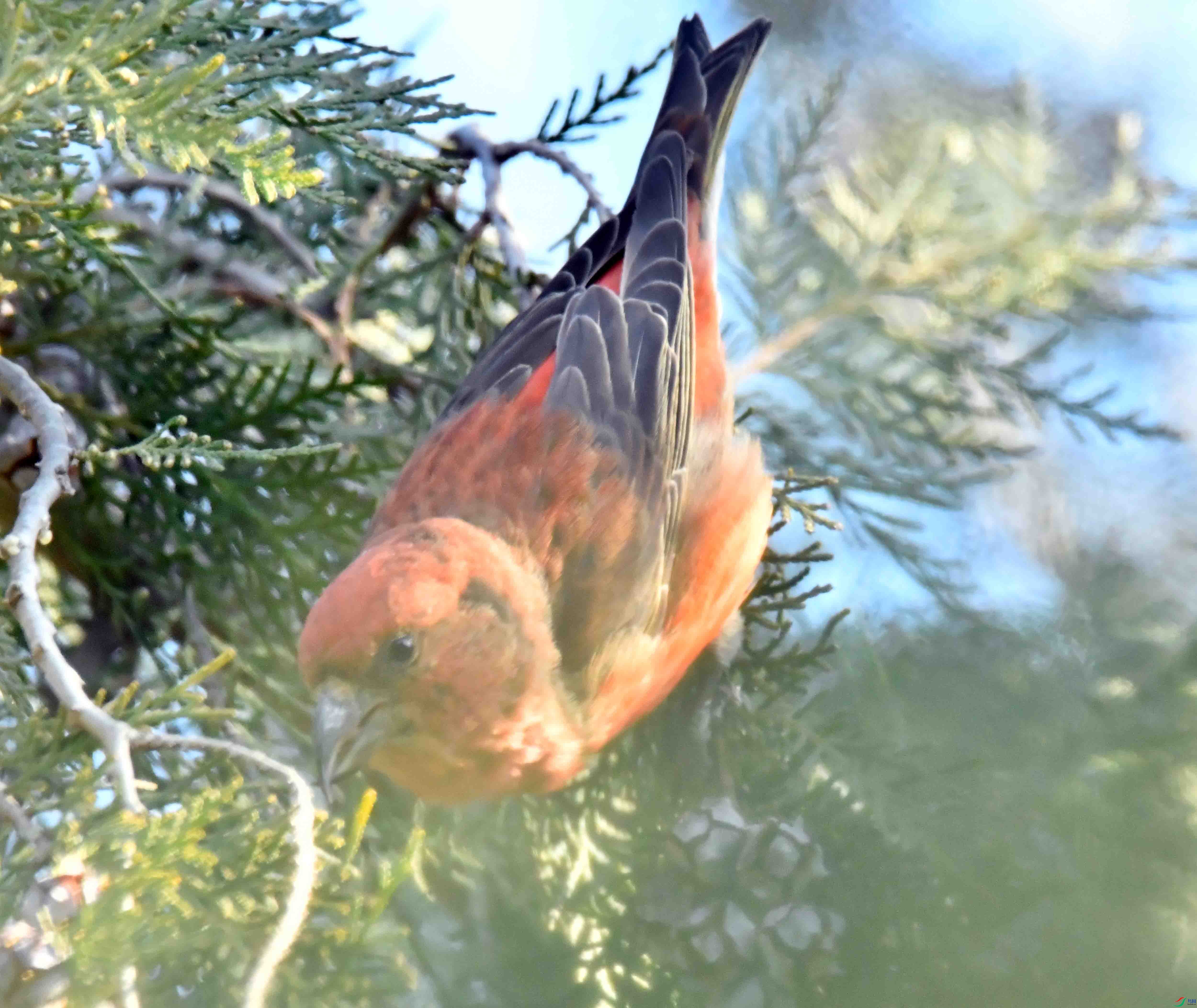 DSC_6845.JPG