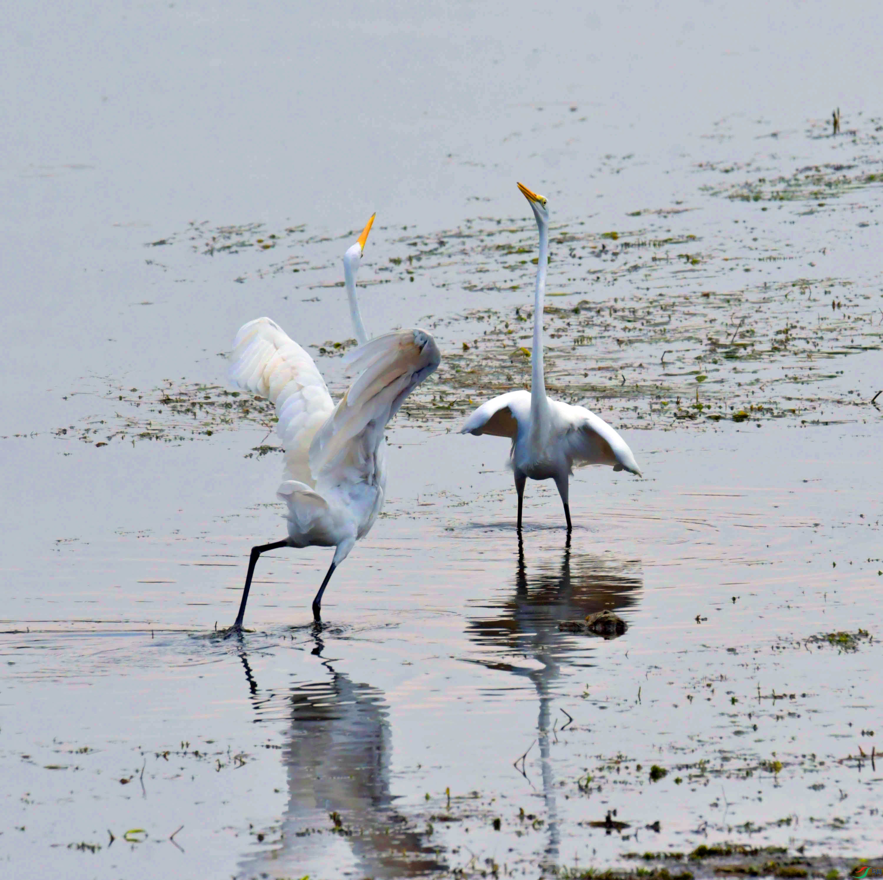 DSC_5789.JPG