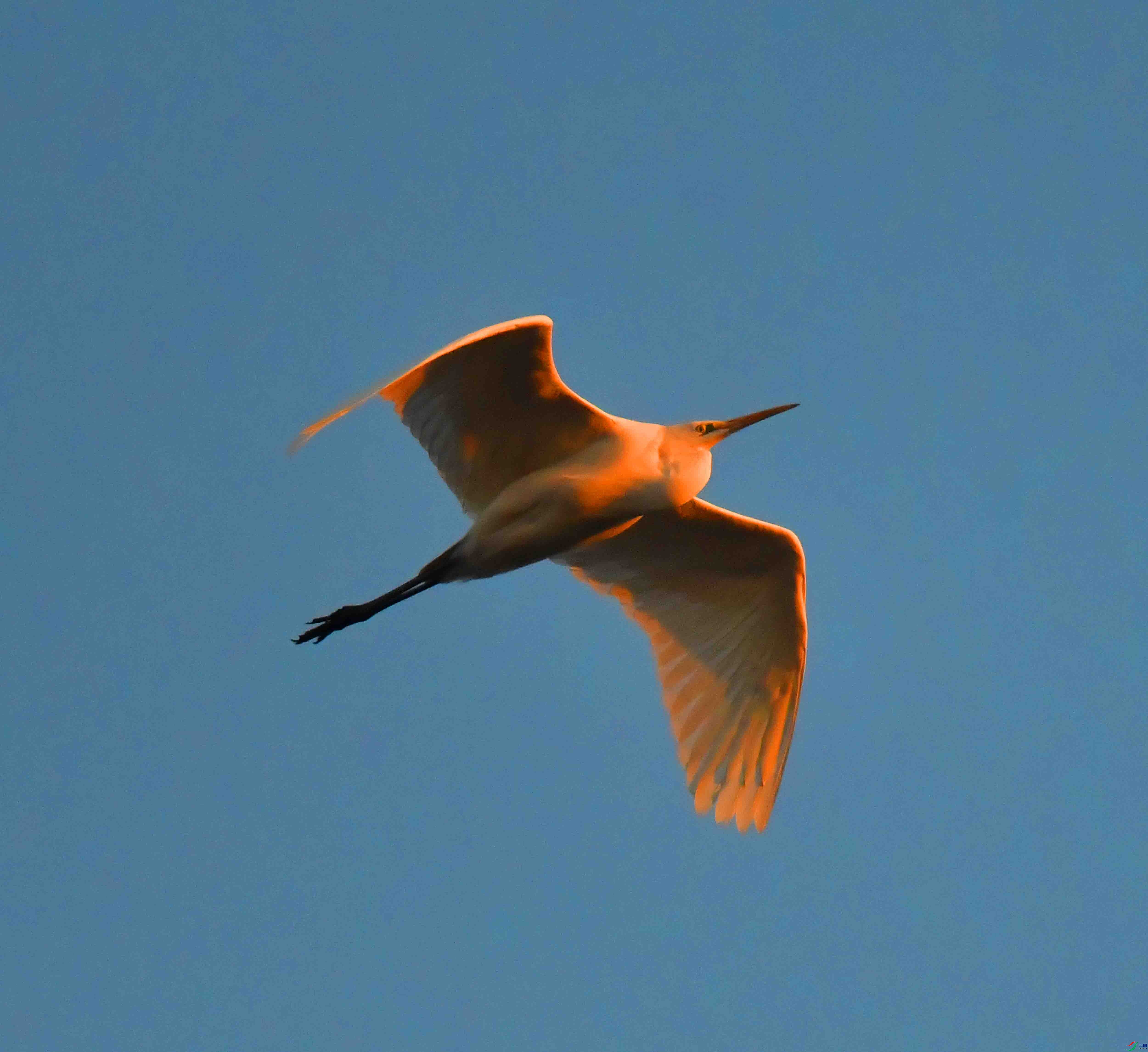 DSC_9253.JPG