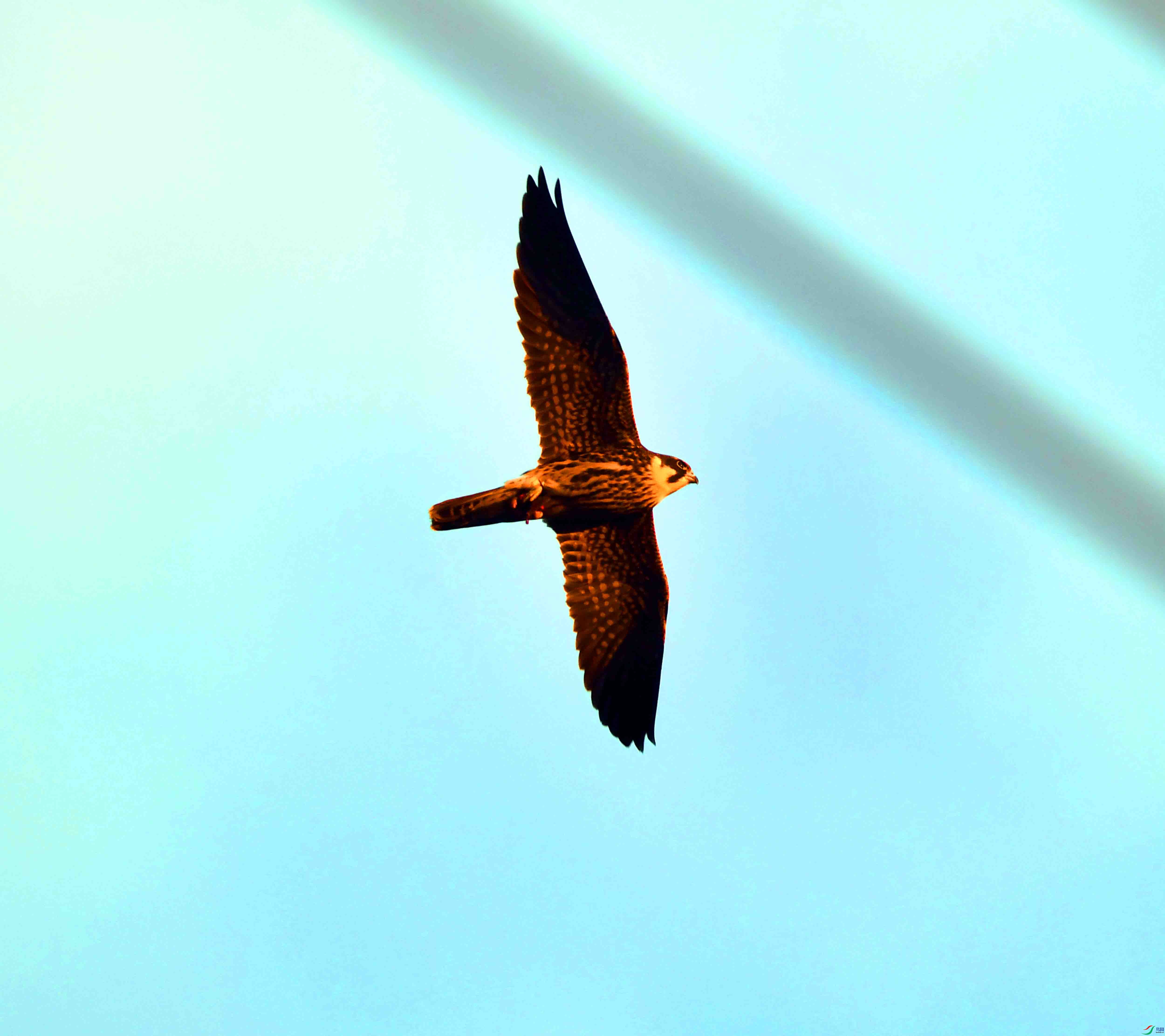 DSC_3320.JPG
