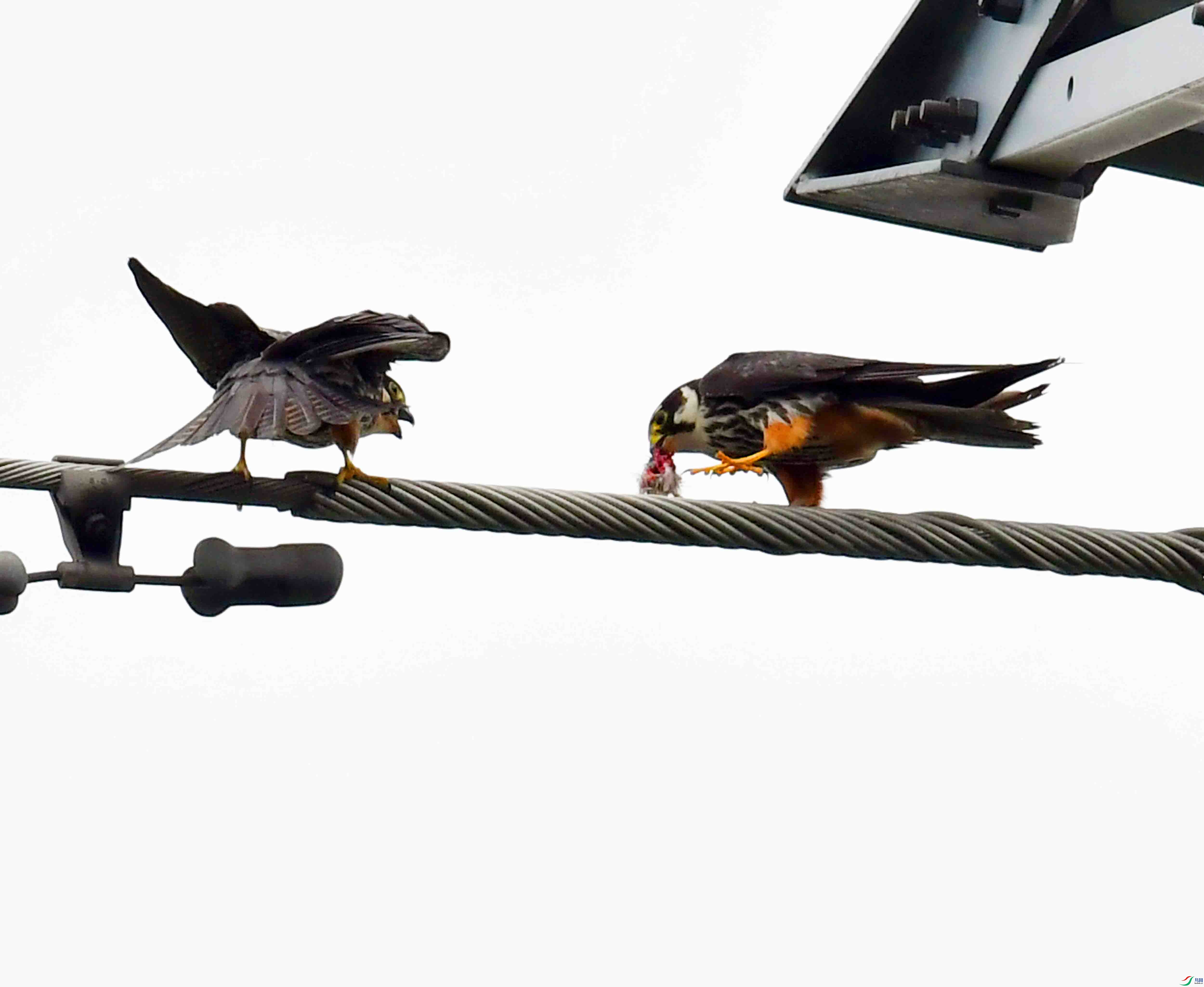 DSC_3374.JPG