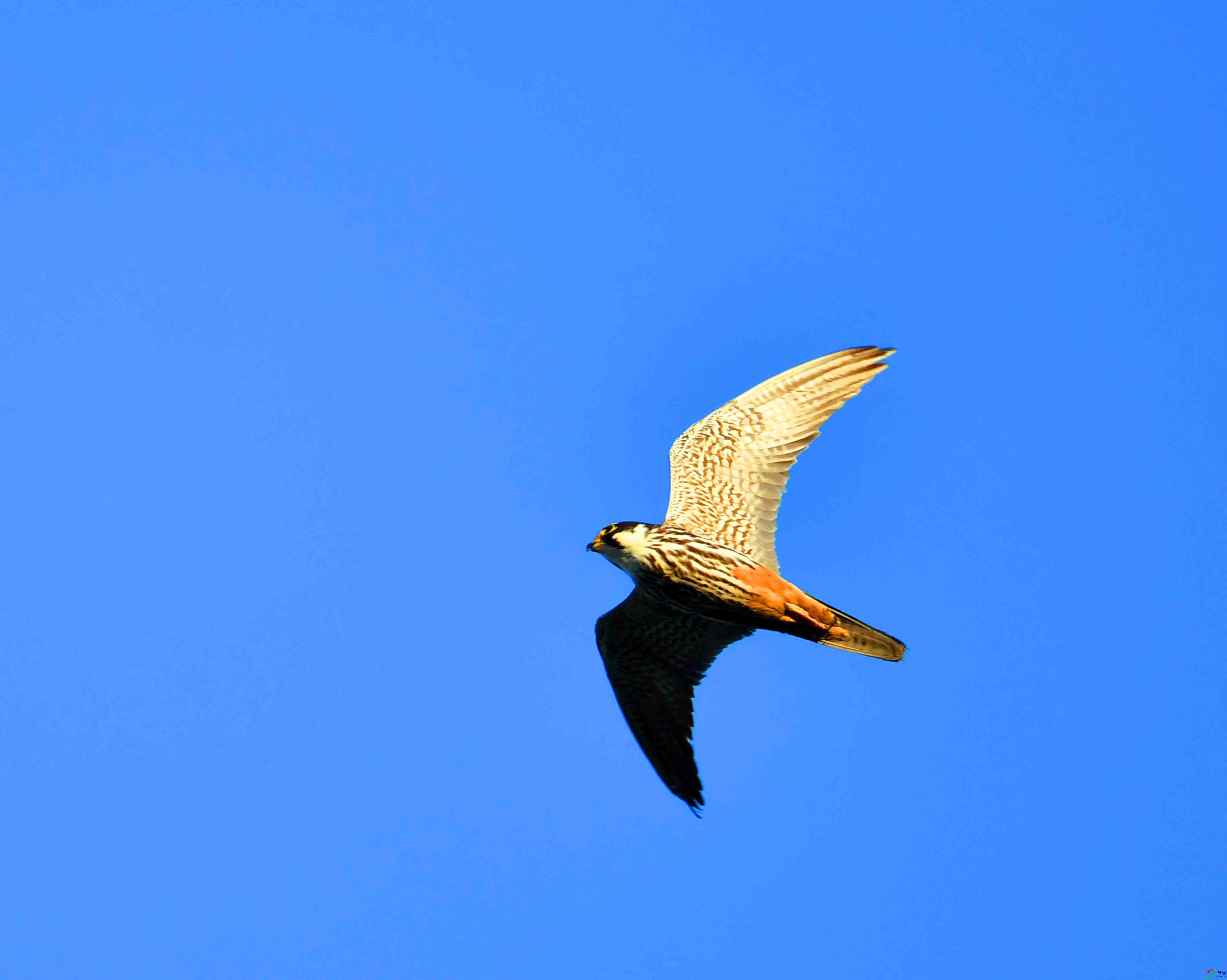 DSC_3457.JPG