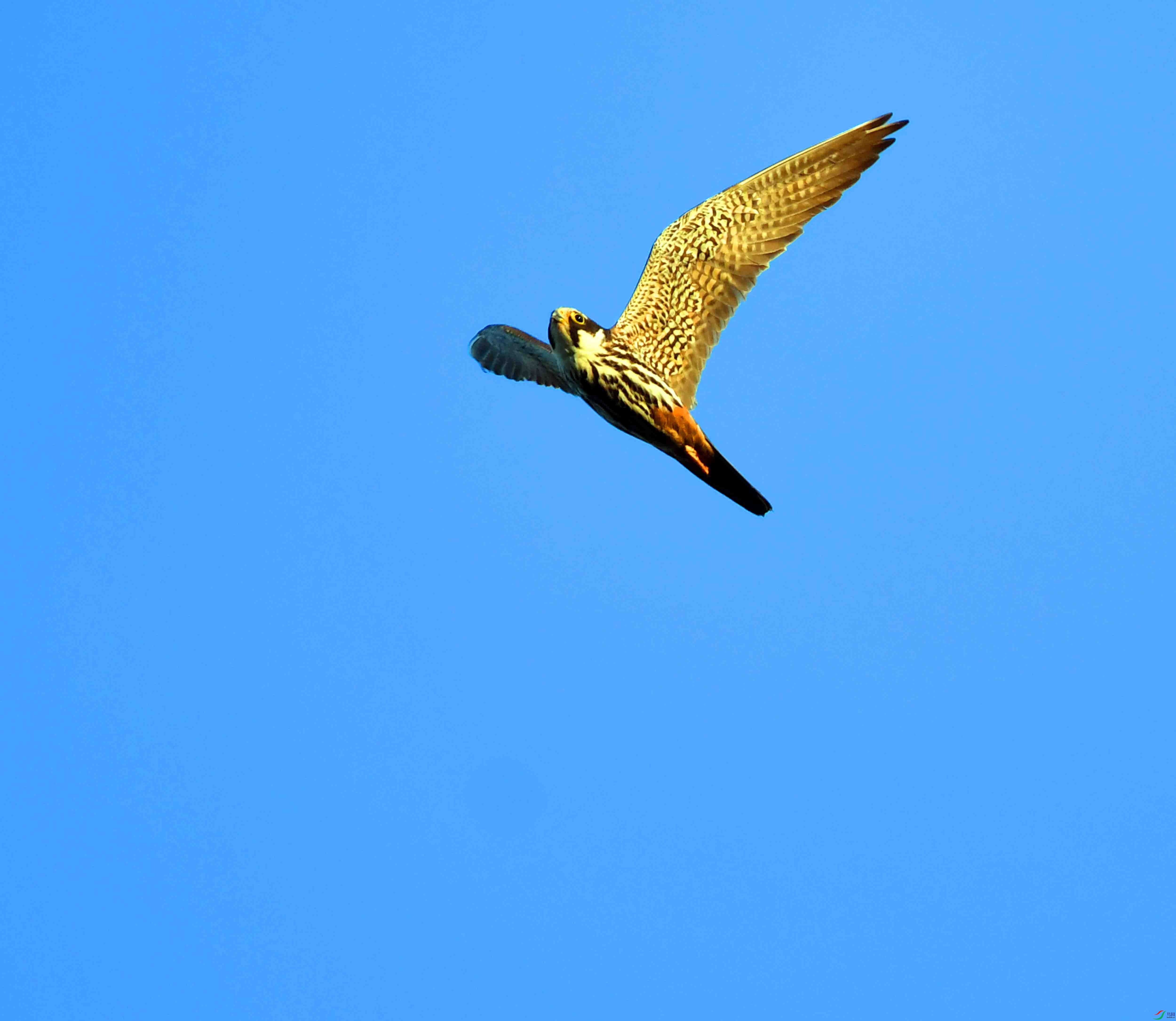 DSC_3456.JPG