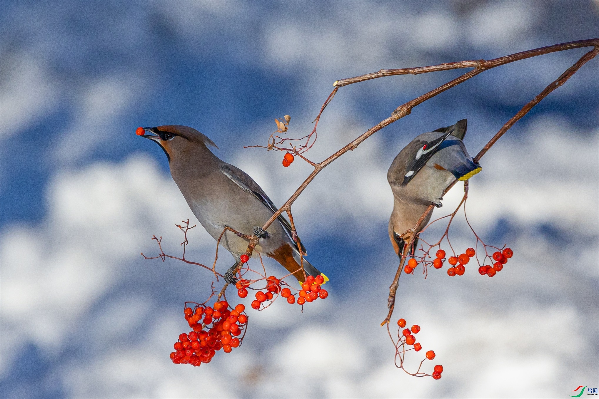 1K3A3628 ����1.jpg