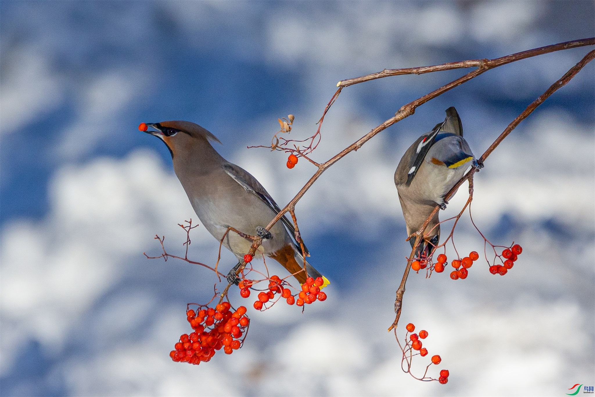 1K3A3630 ����1.jpg