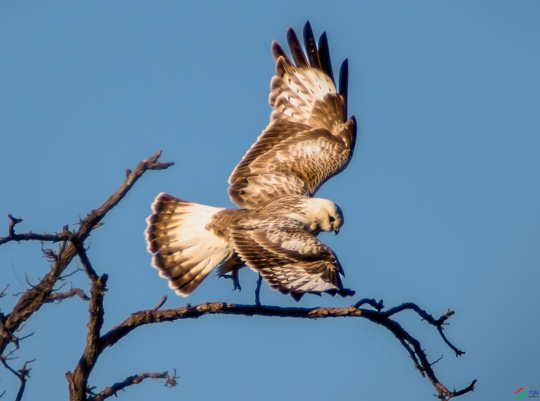 DSC_3659-�ָ���.jpg
