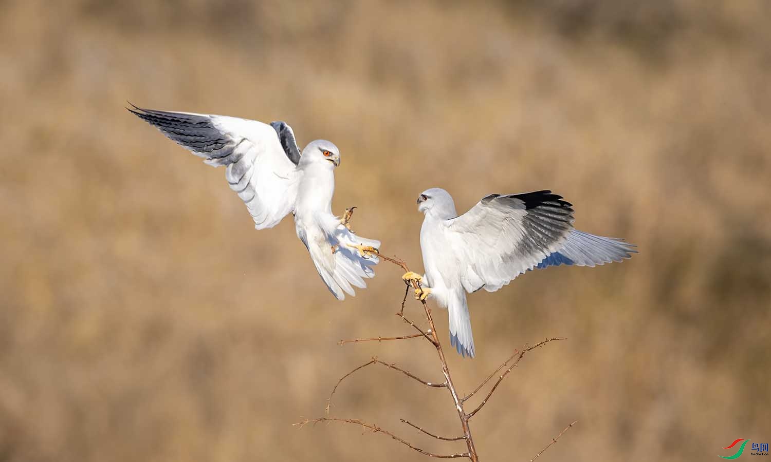 DSC_5709 ����.jpg