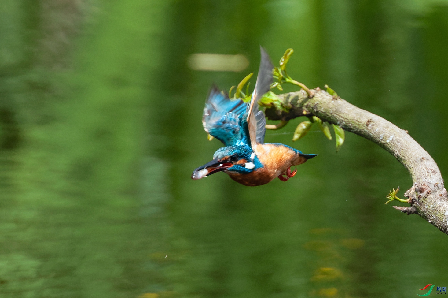 DSC_0074_DxOa.jpg