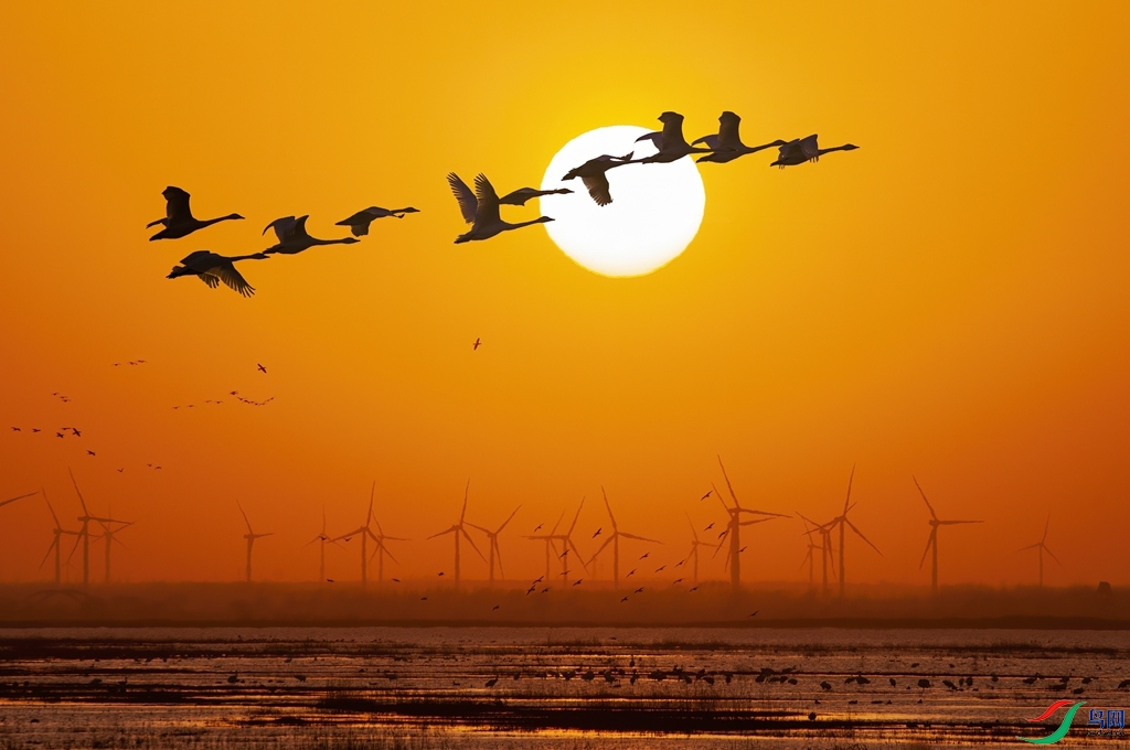 DSC_5231 ����_����_����.jpg