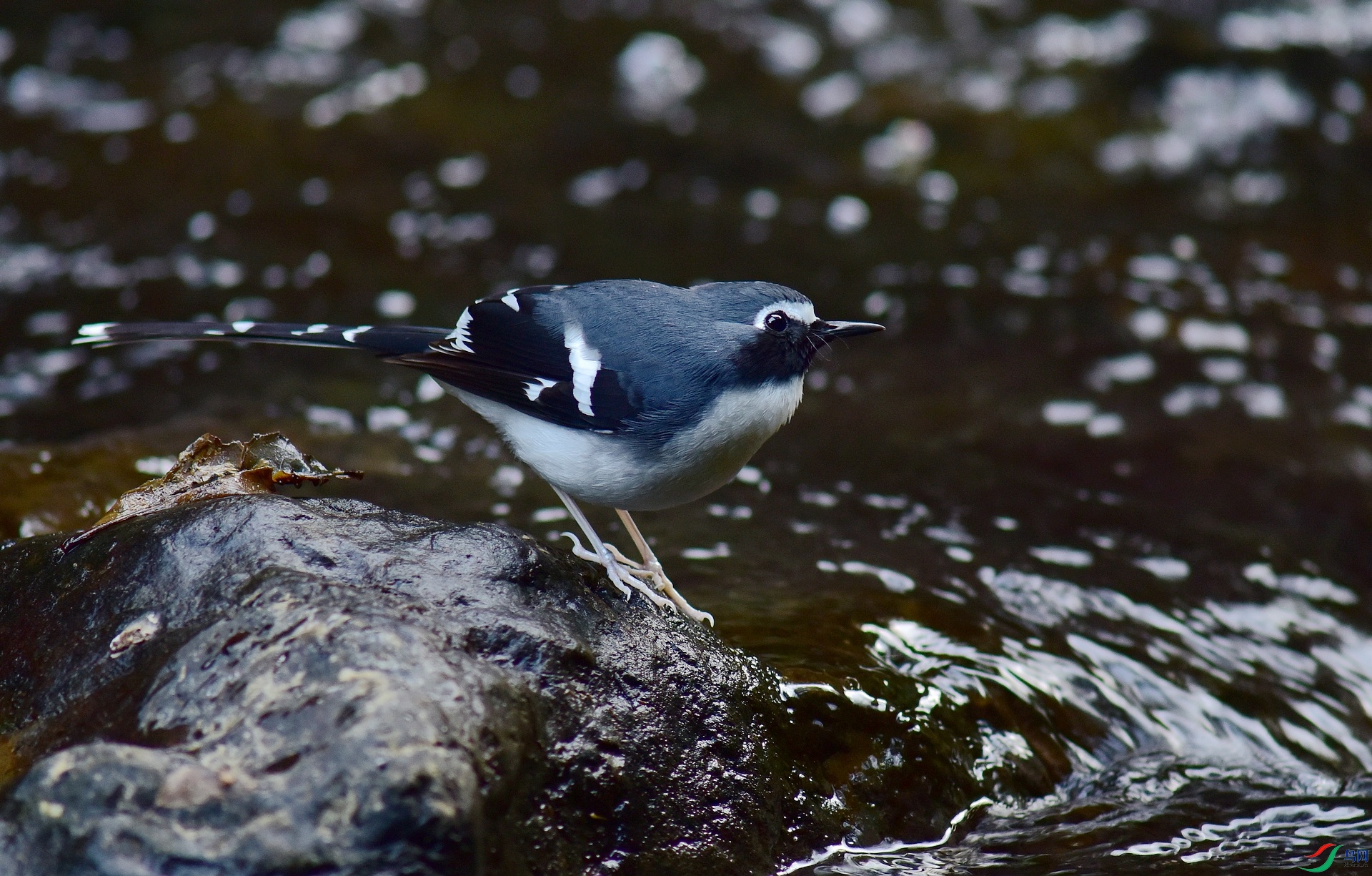 D8I_9902.jpg