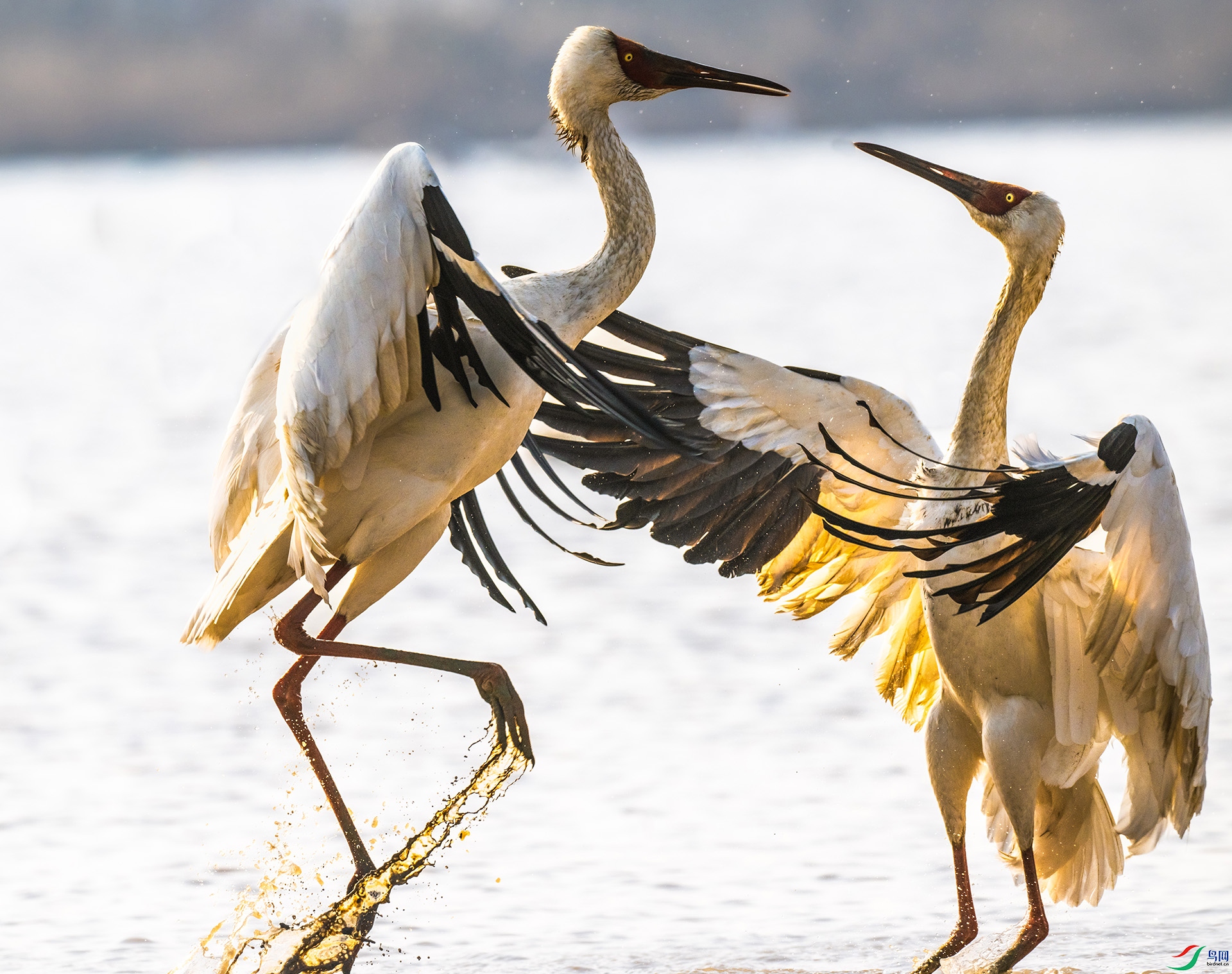 �������