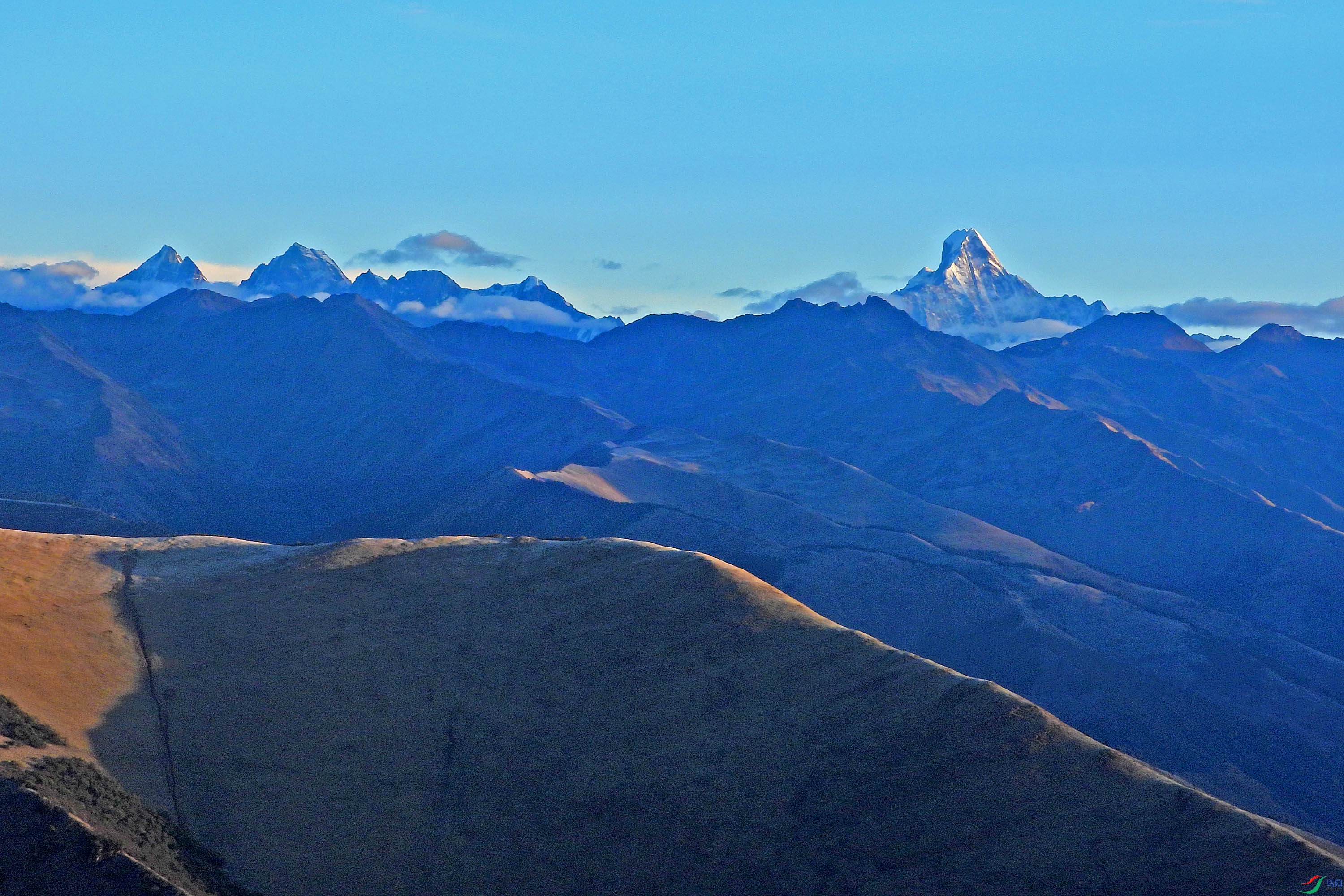DSCN4942.jpg