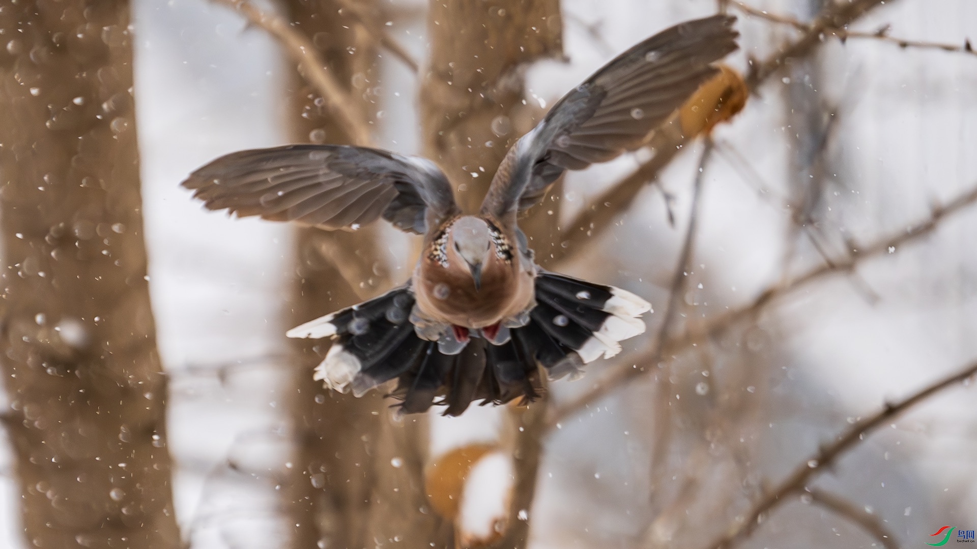 1_XXL5741-����ǿ-NR ����.jpeg