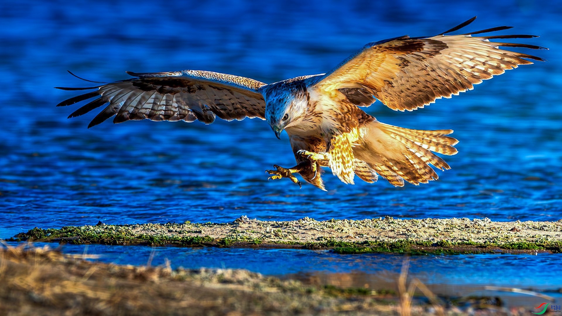 1_XXL6387-����ǿ-NR-1 2-1-1.jpeg