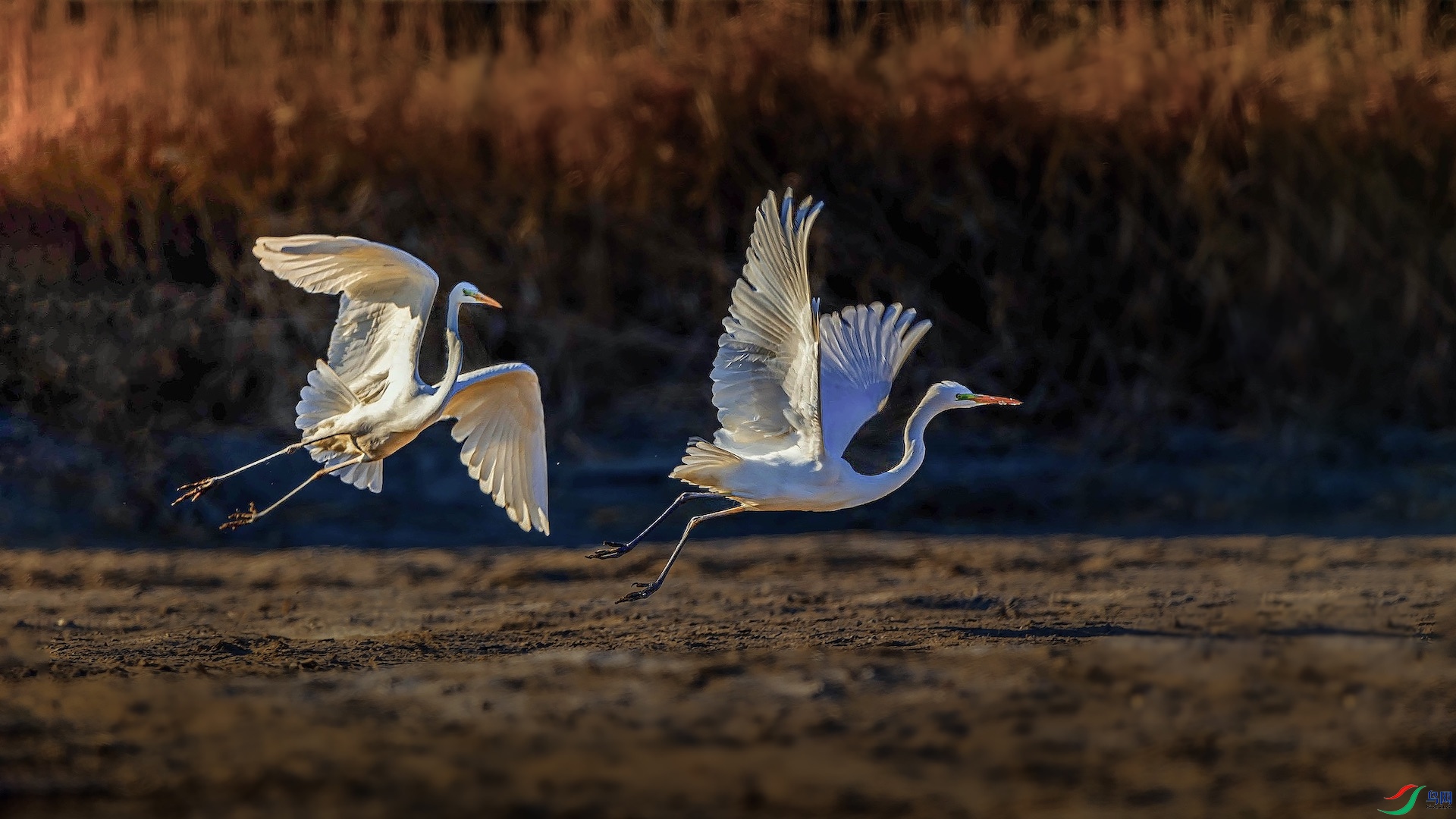 δ����-1 ����.jpg