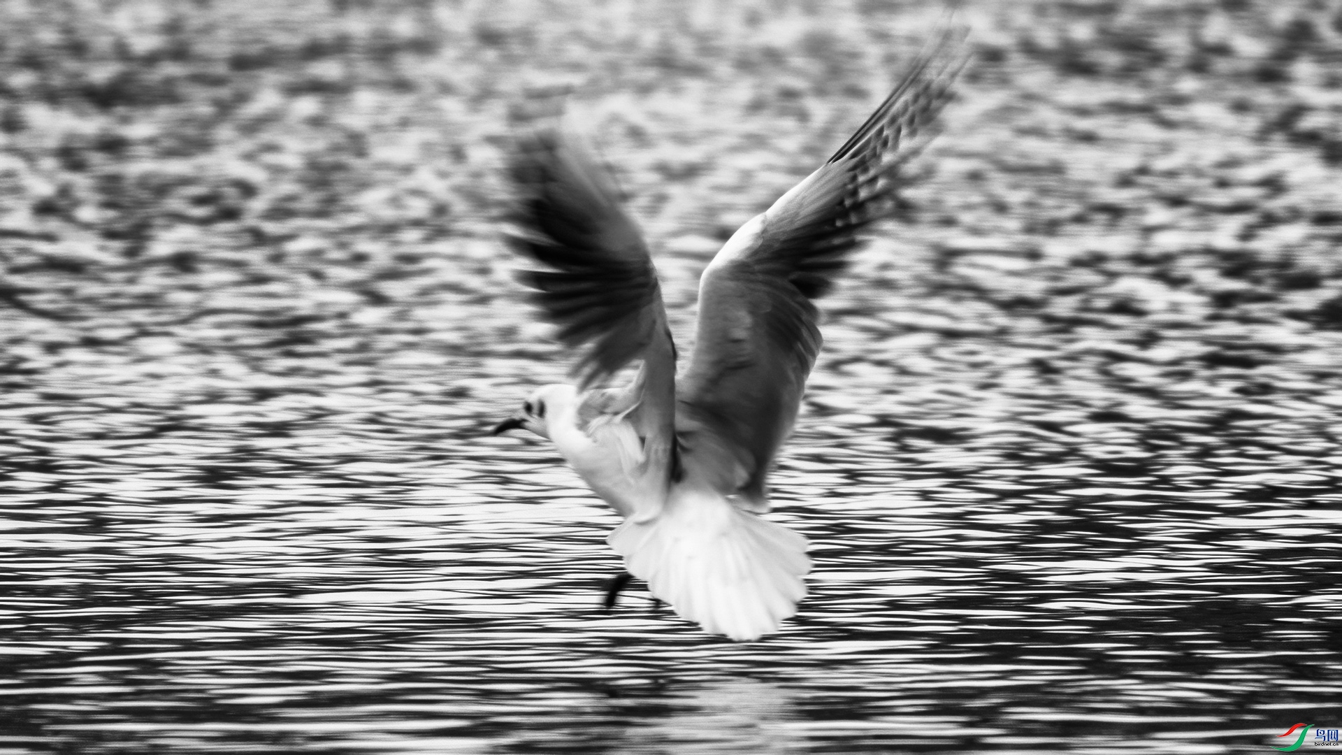 DSC09225 ����.jpg