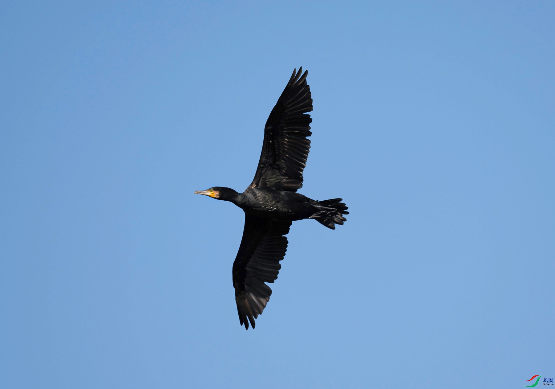 DSC_0288f.jpg