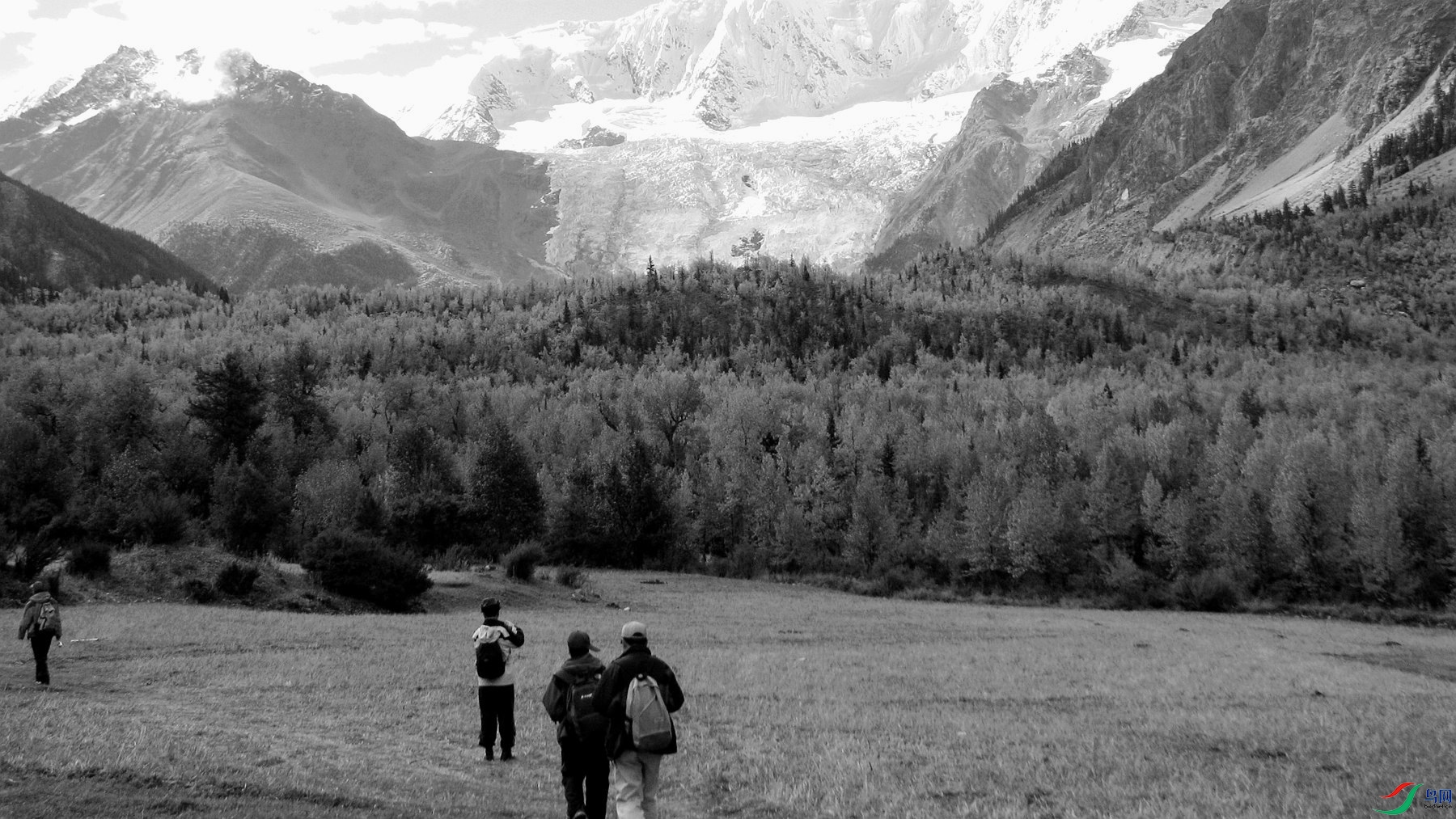 ��Ƭ 395_����.jpg