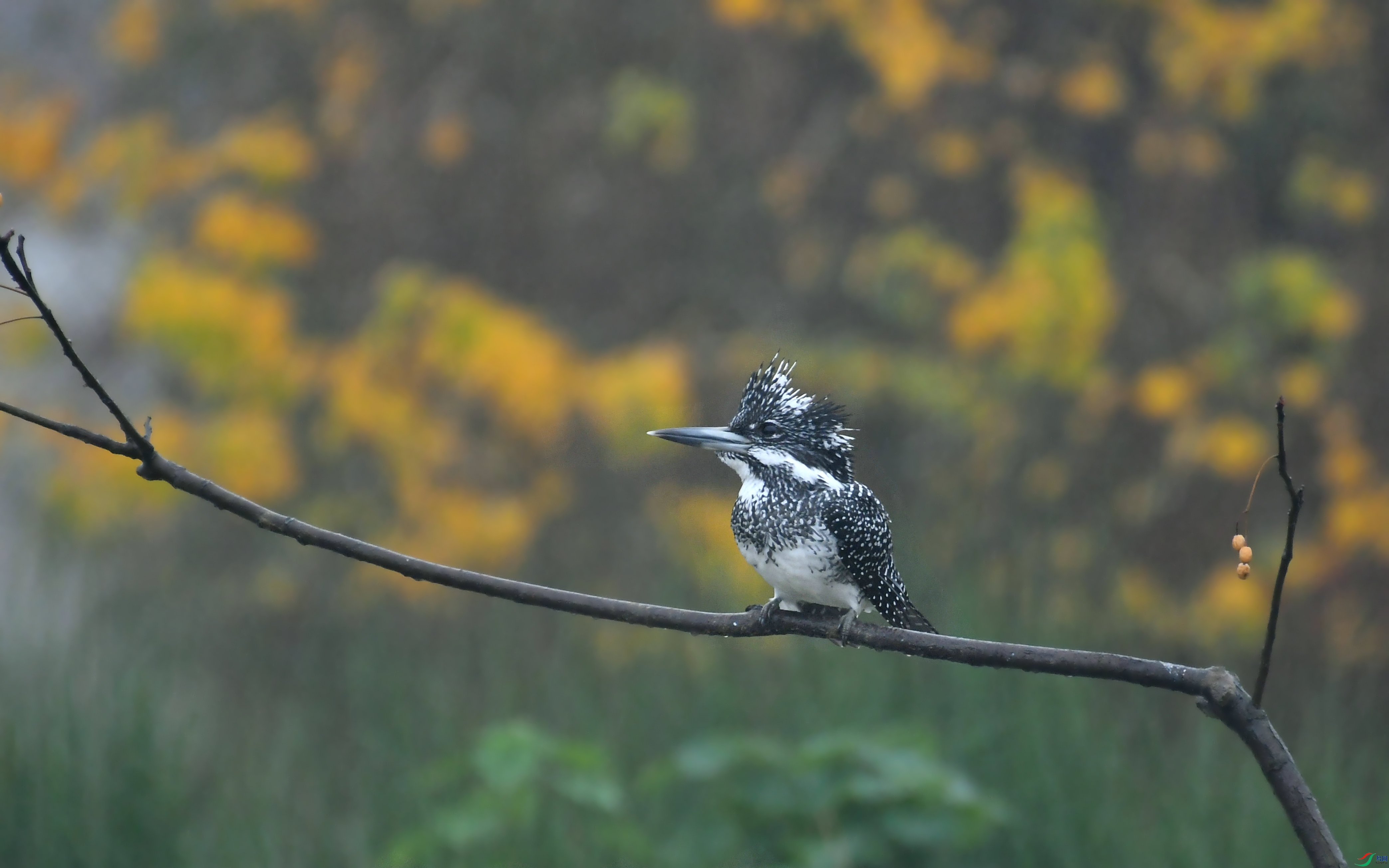 DSC_1256.JPG
