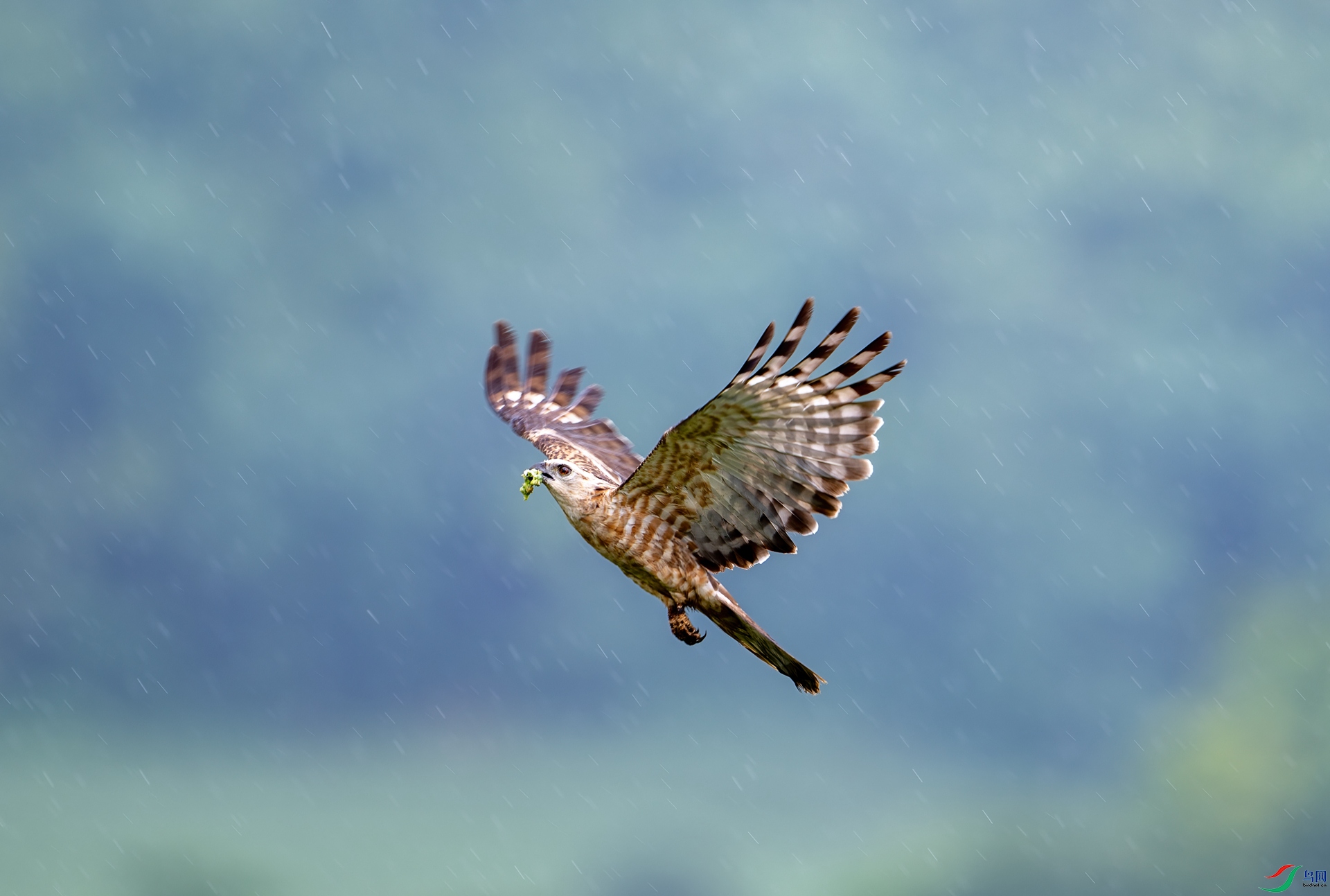 DSC_3365.jpg