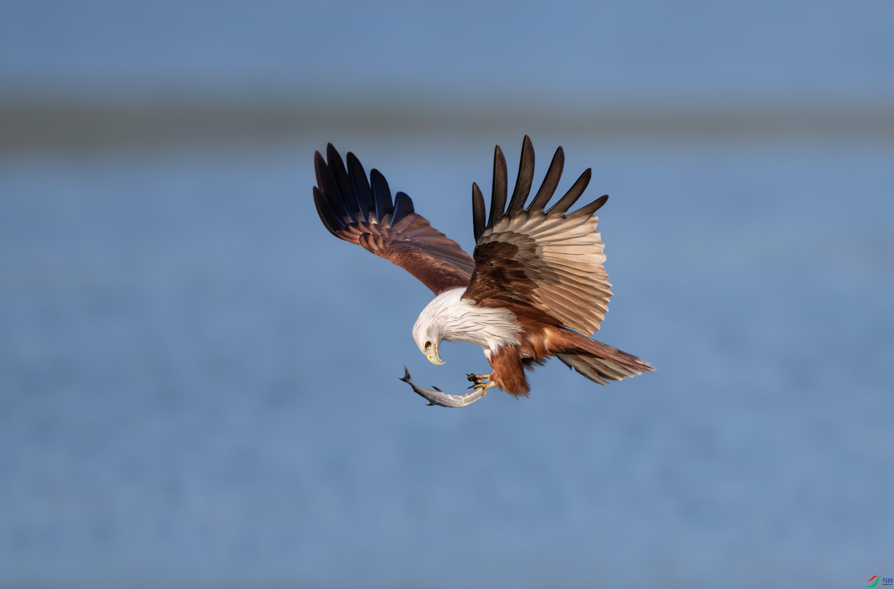 DSC_7743.jpg