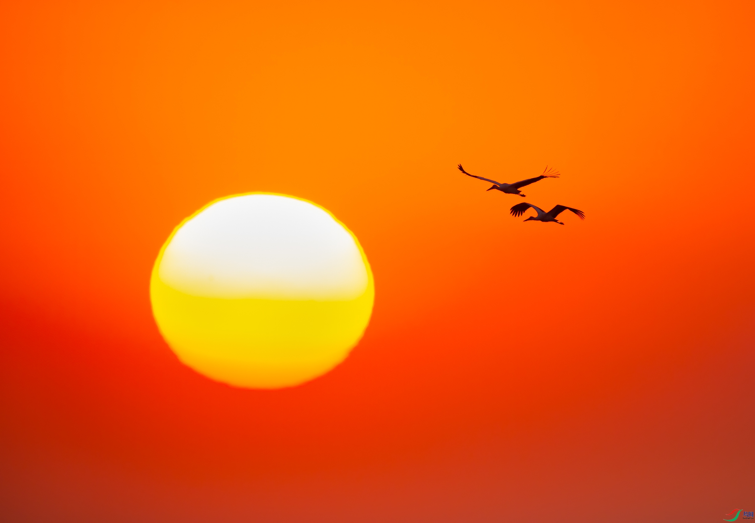 611_0821sen2016-12-1-4-�༭.jpg