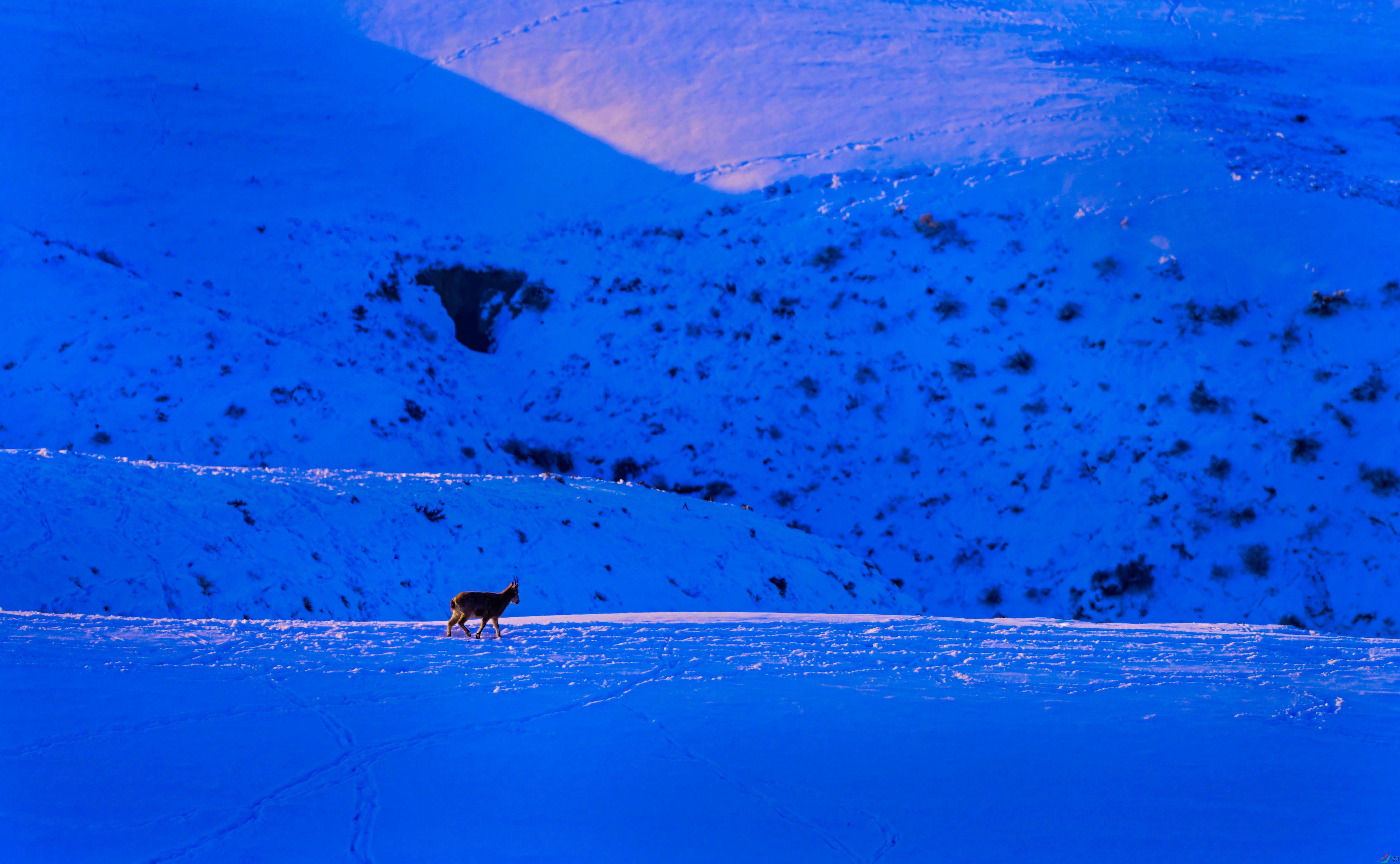 _DSC9387.jpg