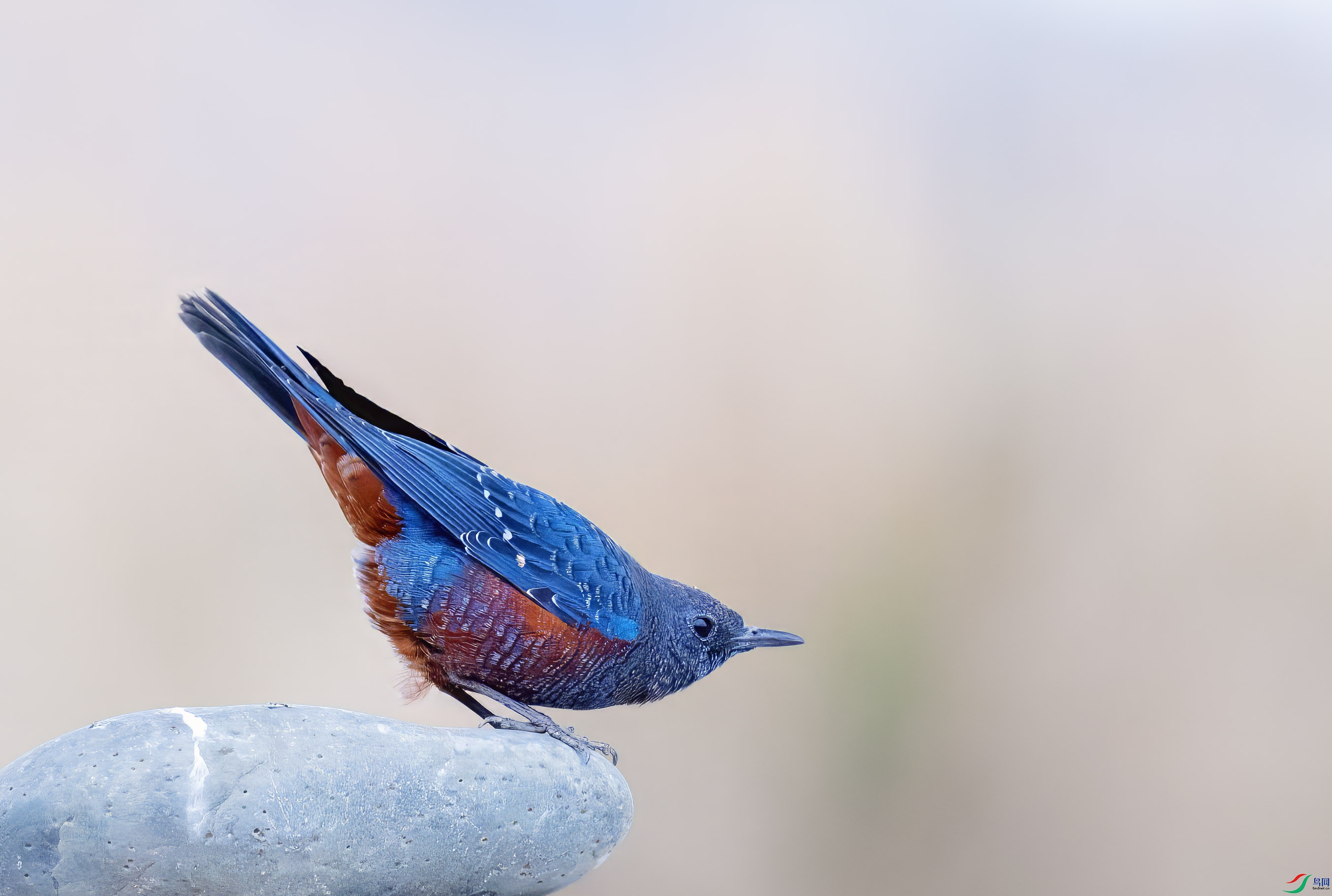 314A8457 ����.jpg