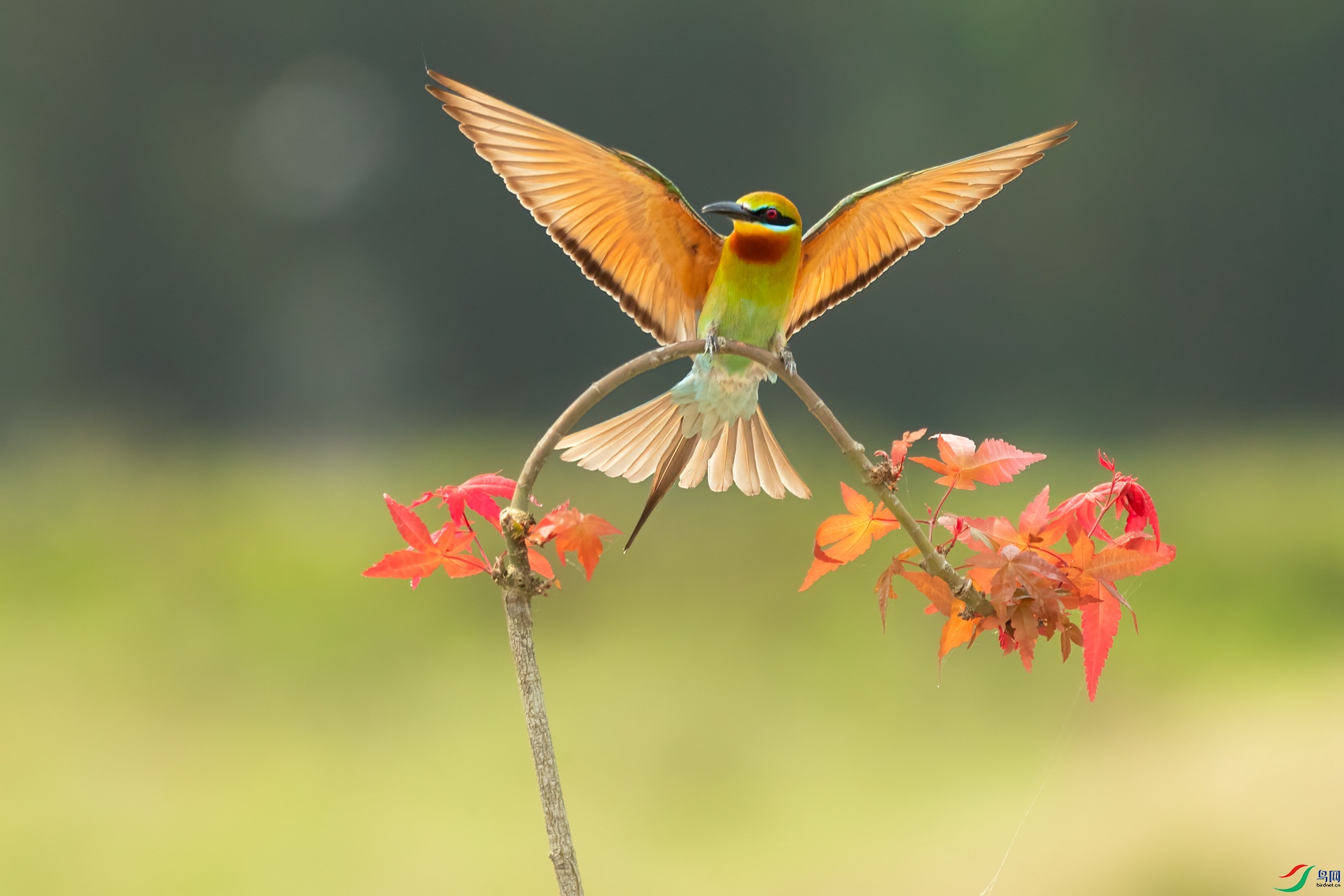 B86I4401 _����.jpg