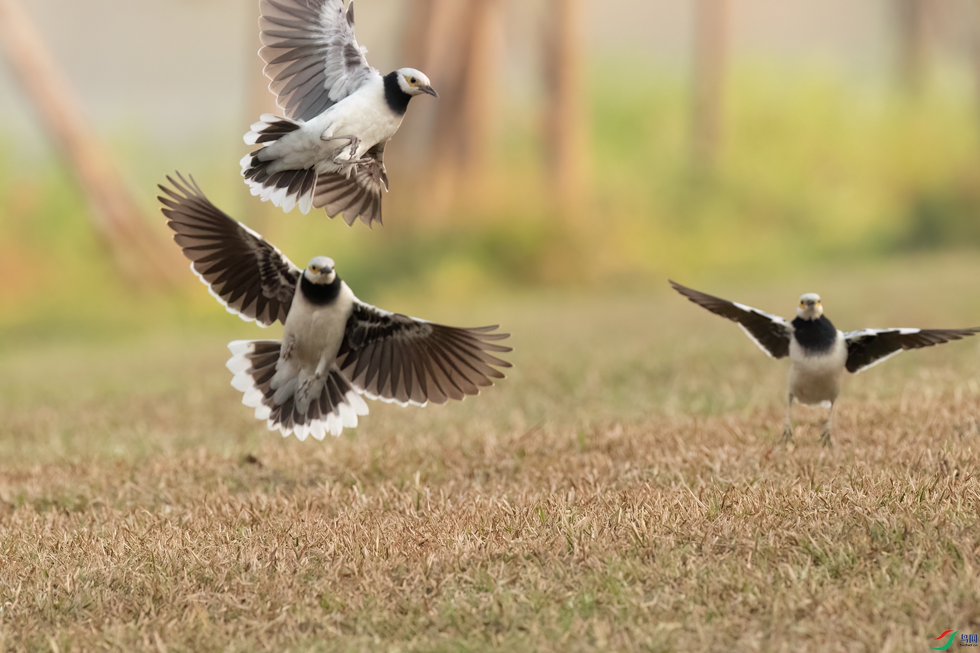 B86I3670 _����.jpg