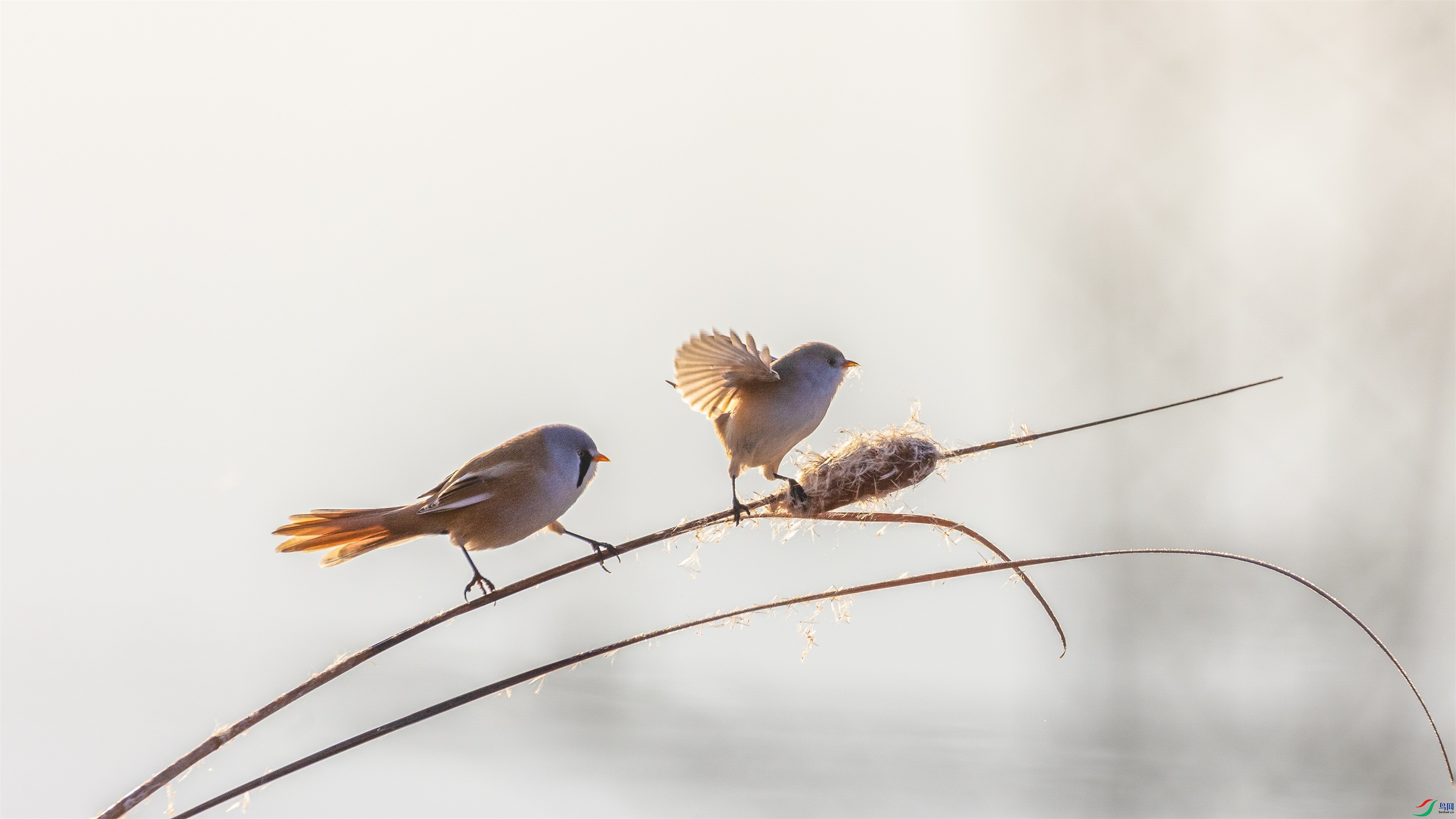 1K3A8184 ����1.jpg