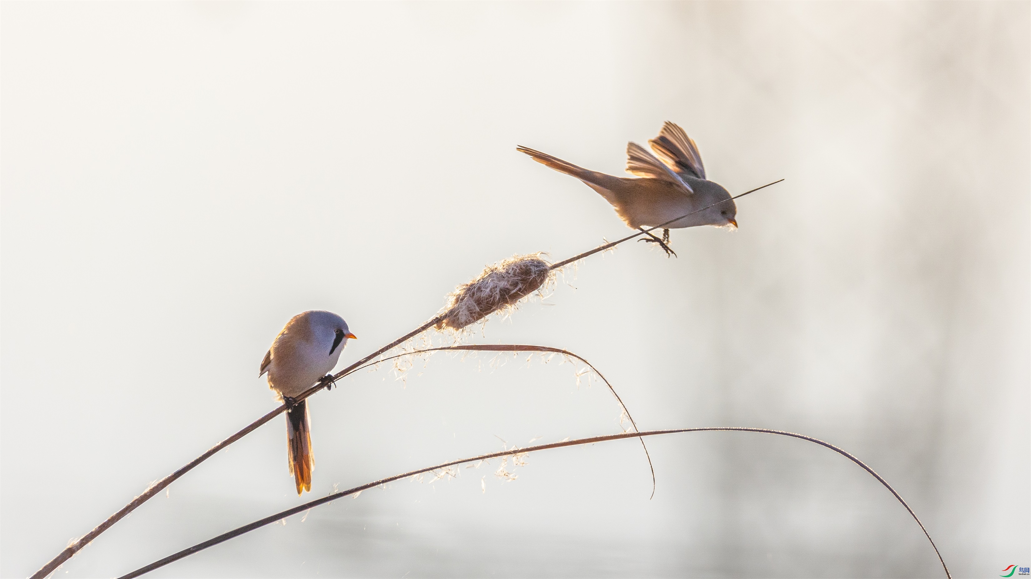 1K3A8188 ����1.jpg