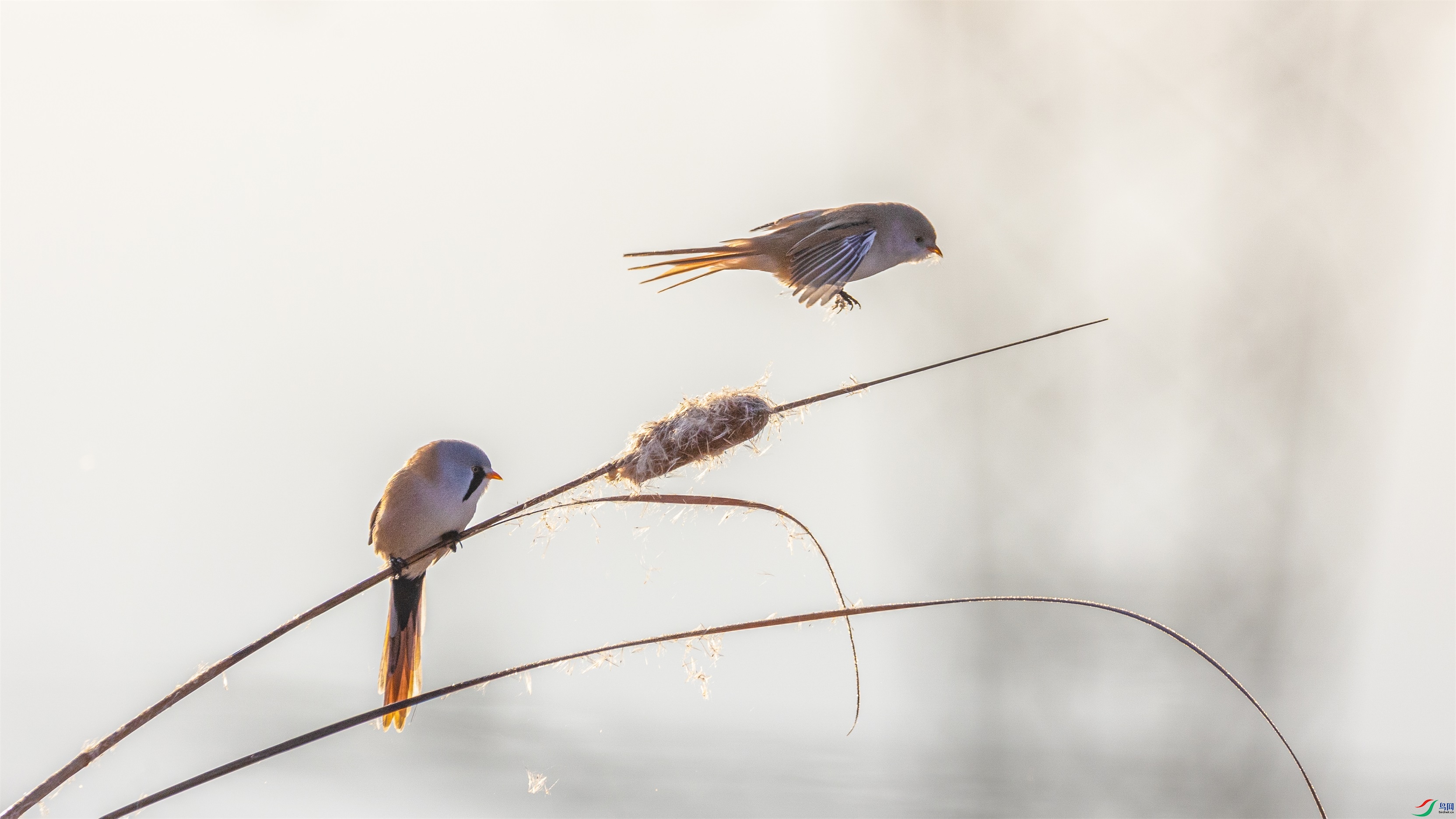 1K3A8187 ����1.jpg