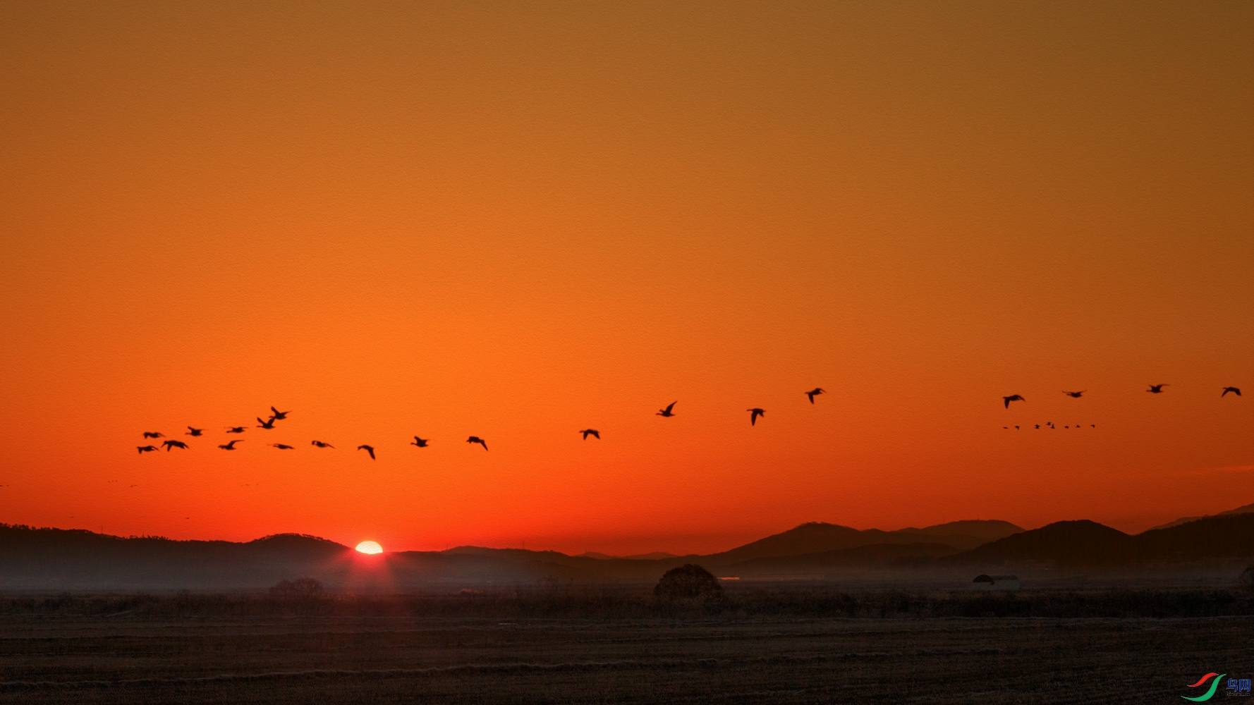 _V4C4808 ����_1.jpg