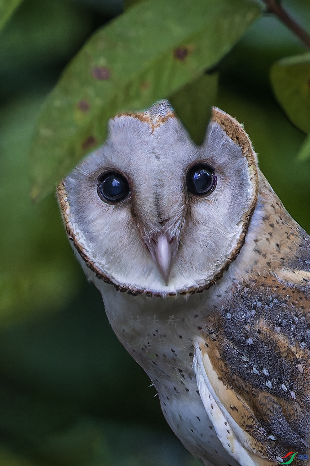 _97A6541-CR3 copy.jpg