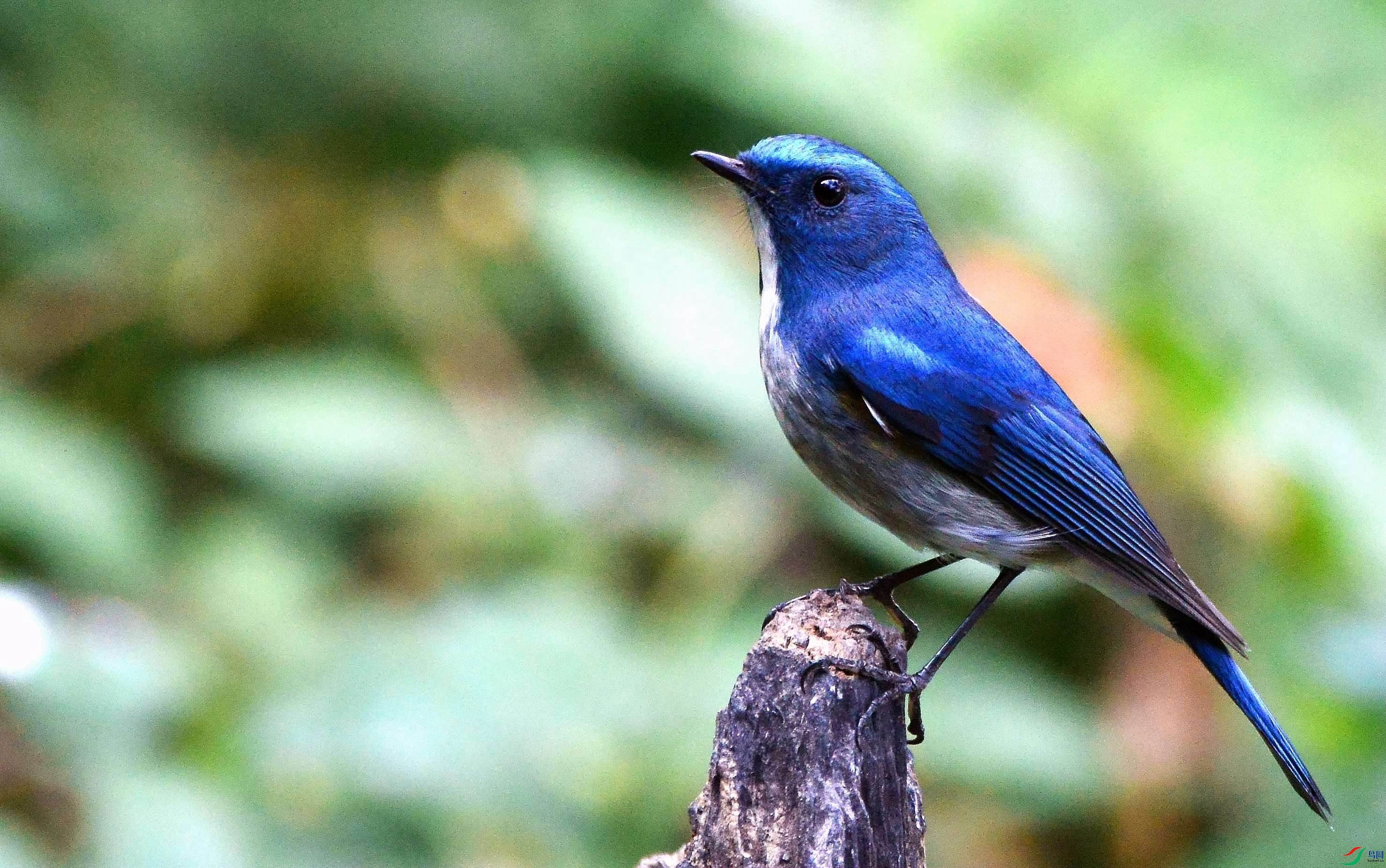 DSC_7546.JPG