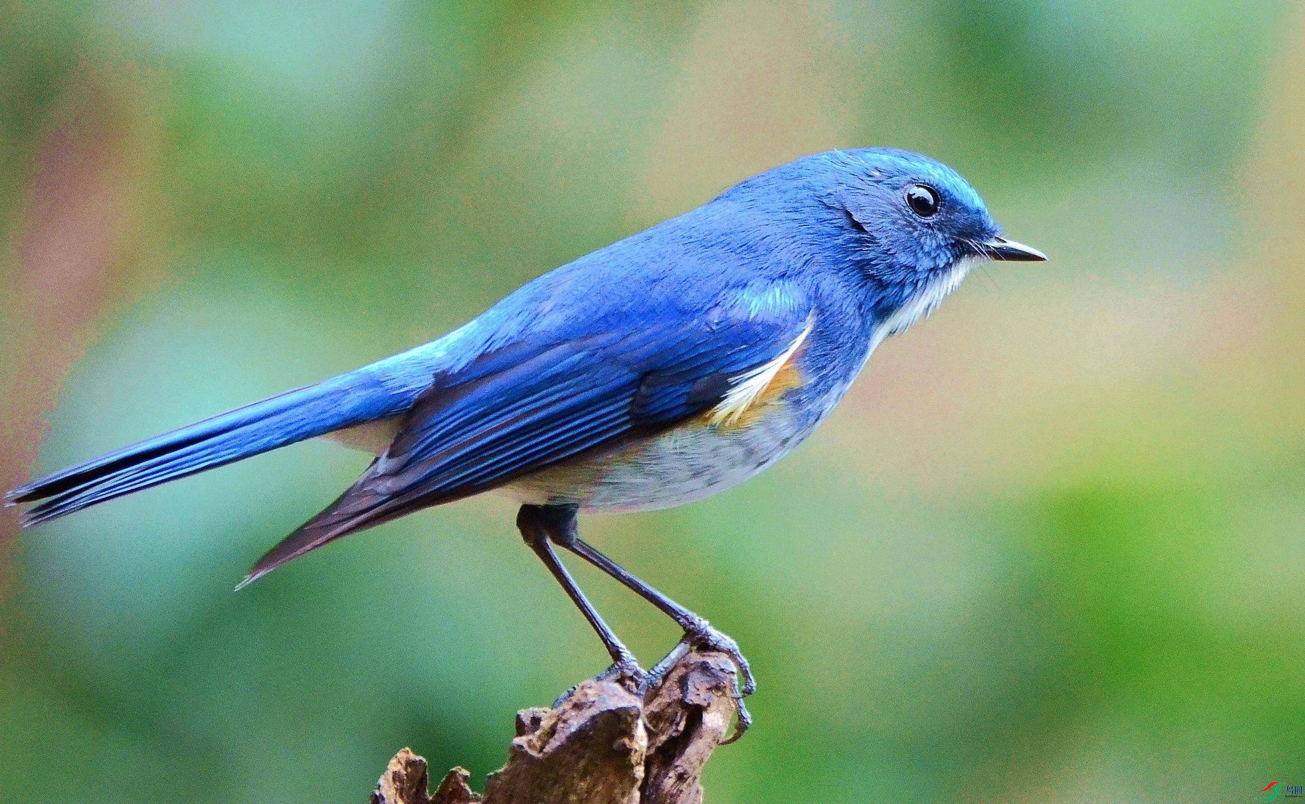 DSC_7404.JPG