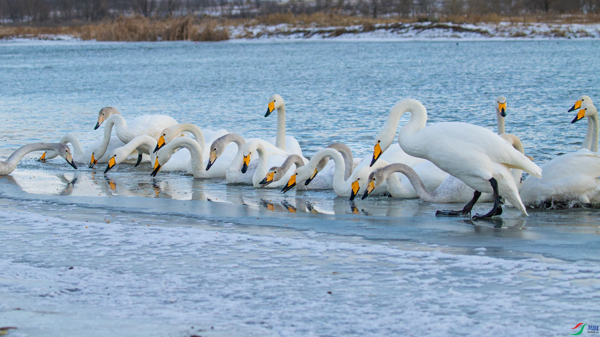 _00A8141-CR2_DxO_DeepPRIMEXD-3-1.jpg