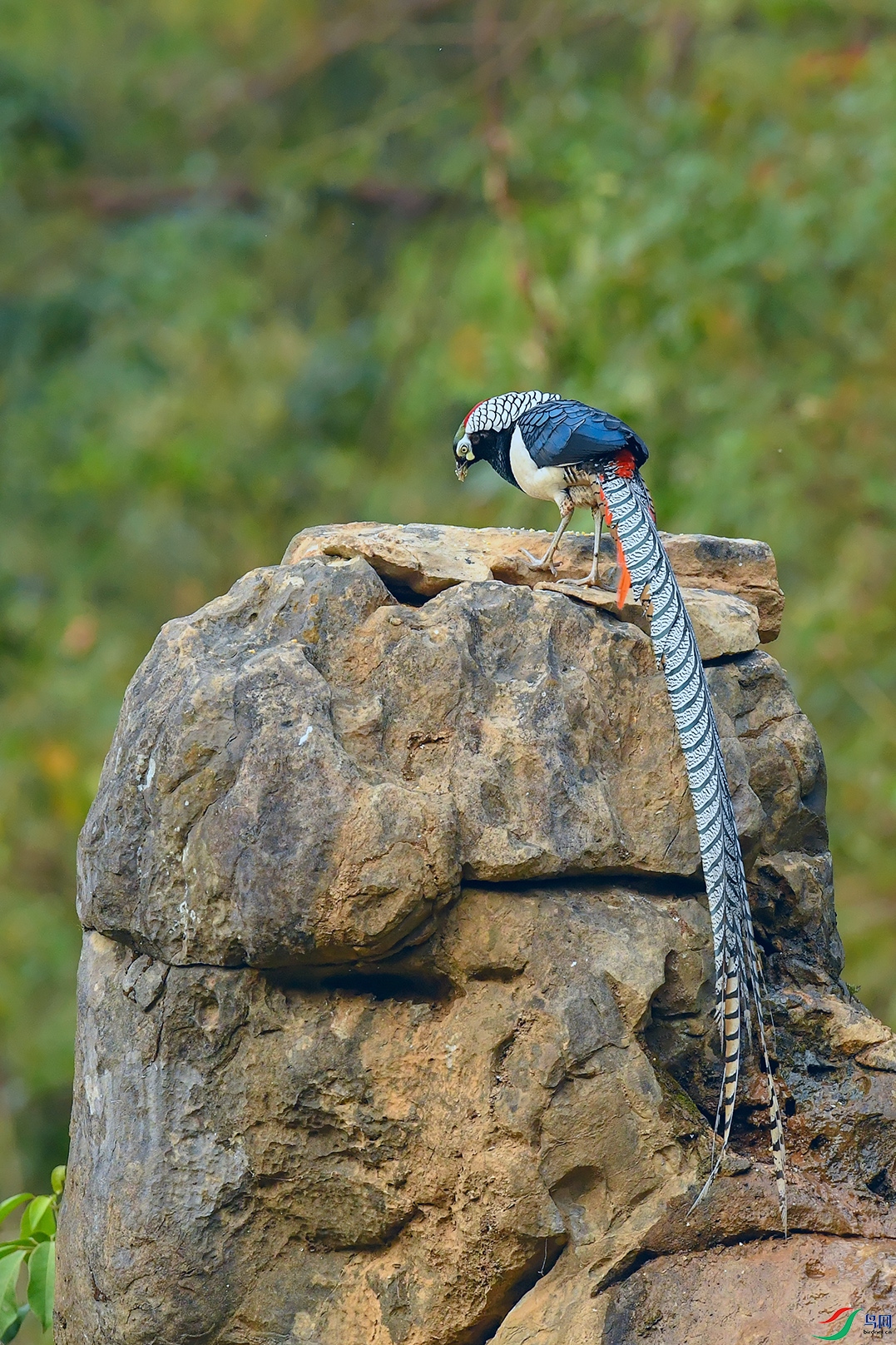 4DSC_2792_DxOa.jpg